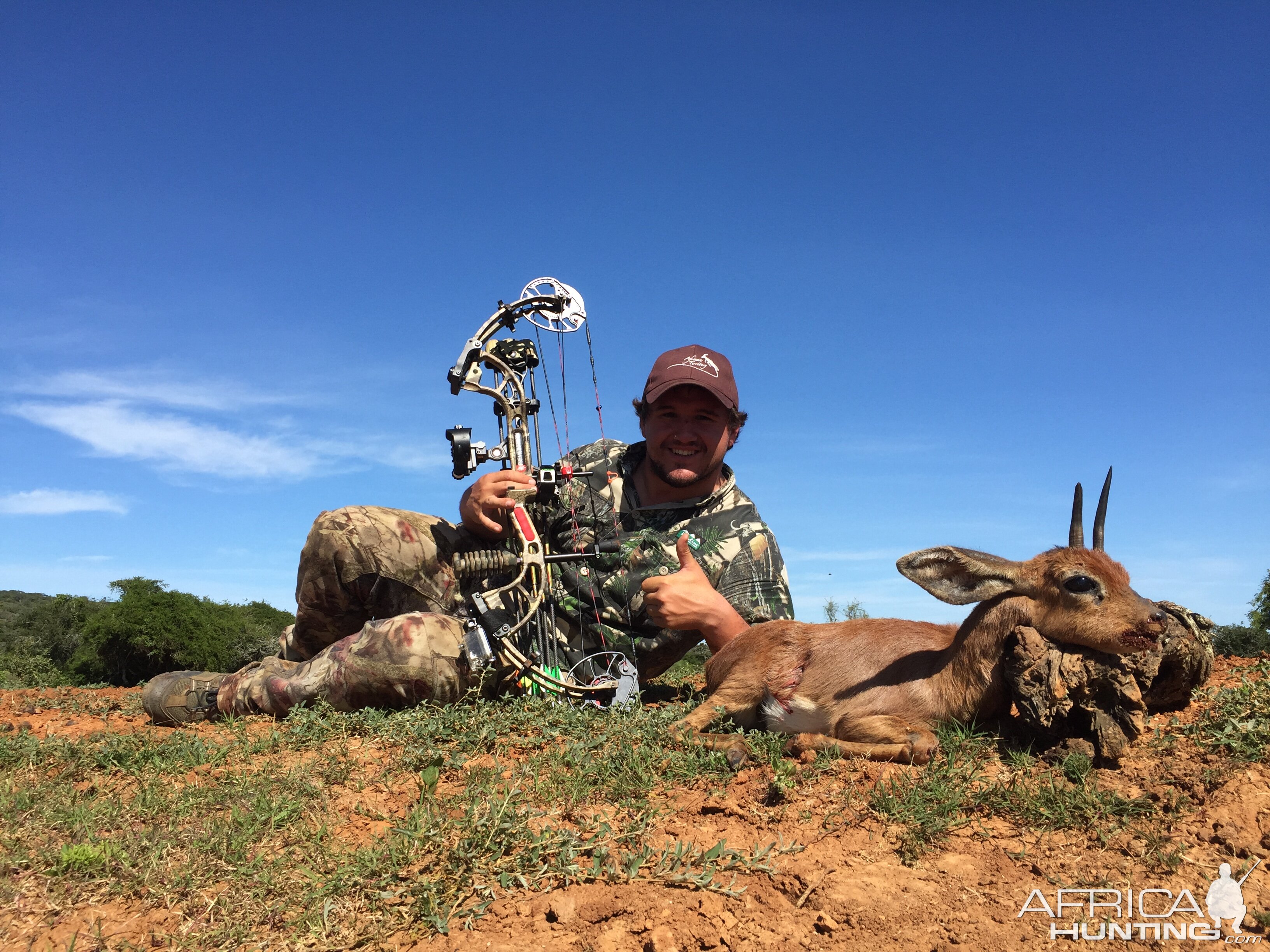South Africa Steenbok Bow Hunting