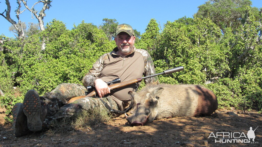 South Africa Warthog Cull Hunting