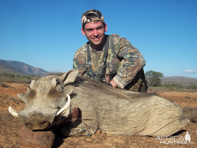 South Africa Warthog Hunt