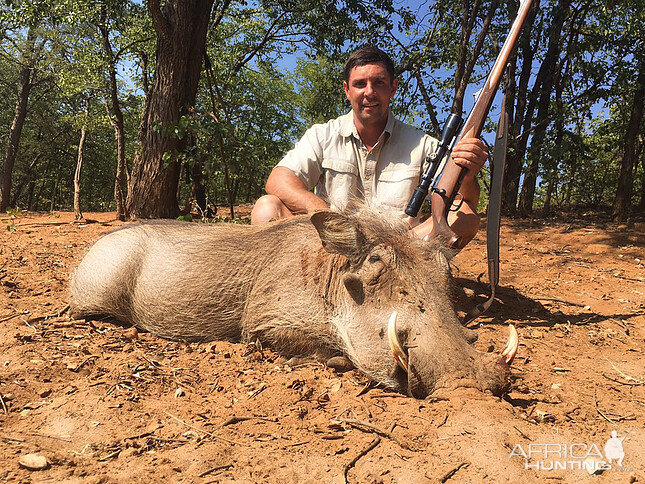 South Africa Warthog Hunt