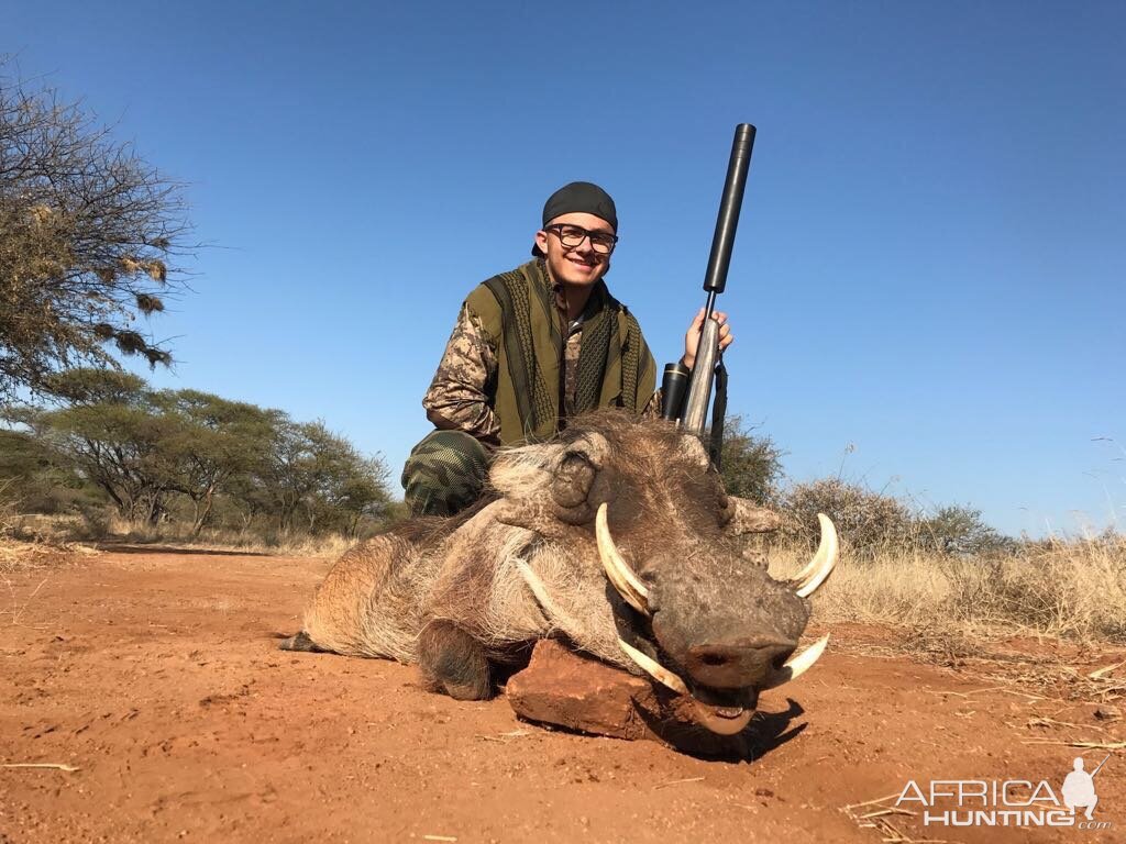 South Africa Warthog Hunting