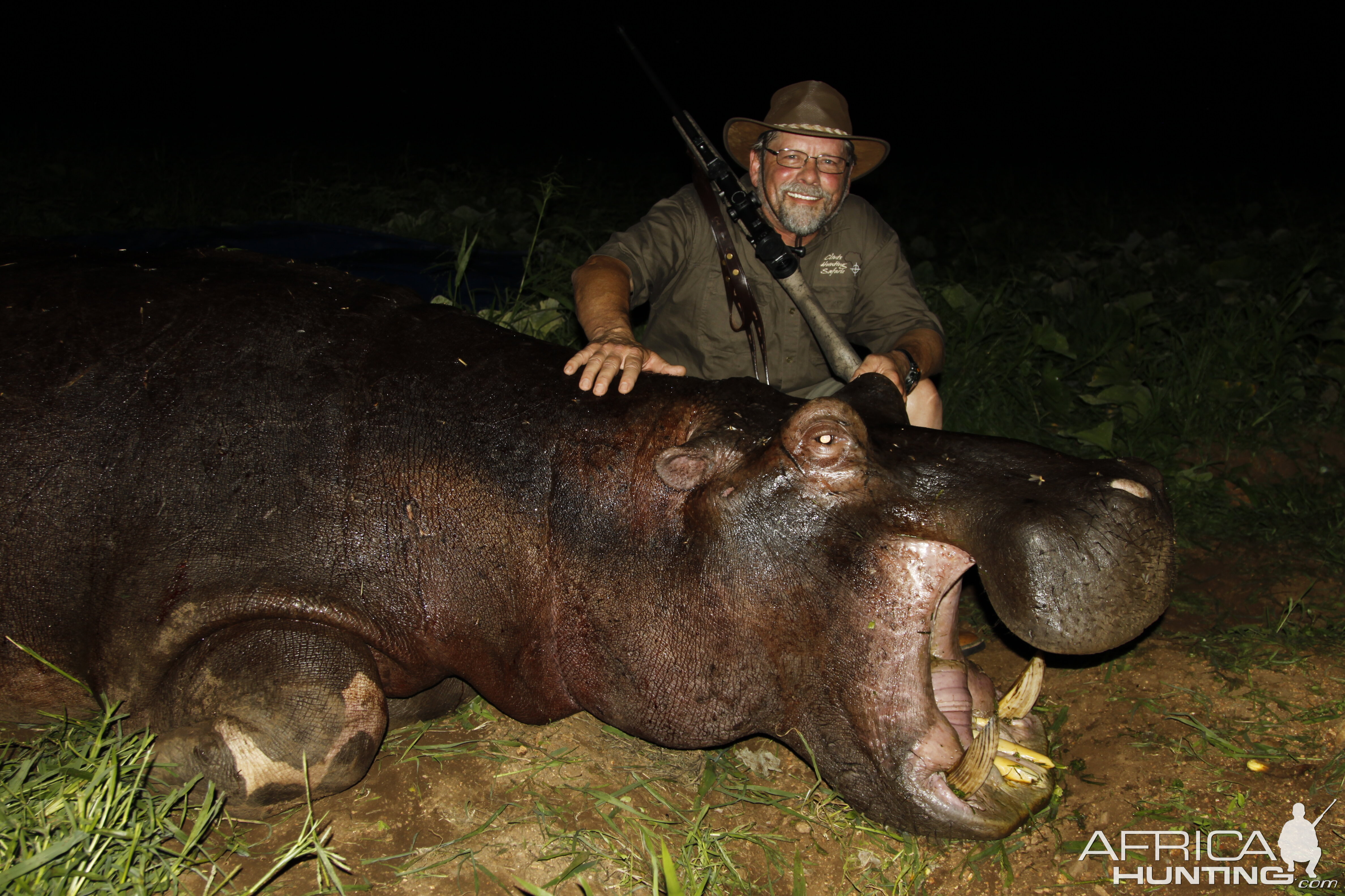 South African Hippo Hunt