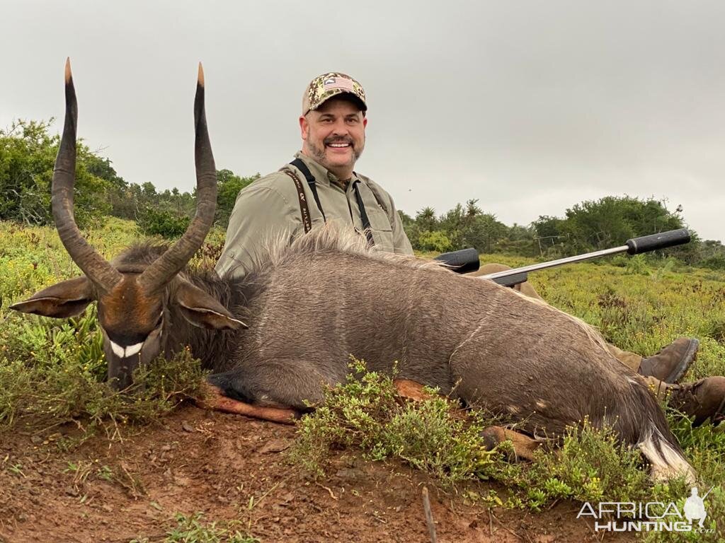 South African Hunt Nyala
