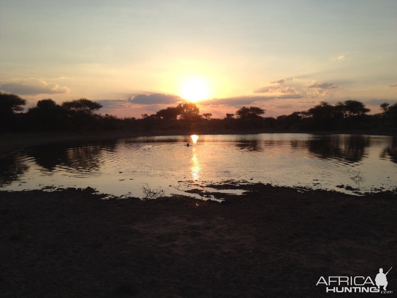 South African Sunset