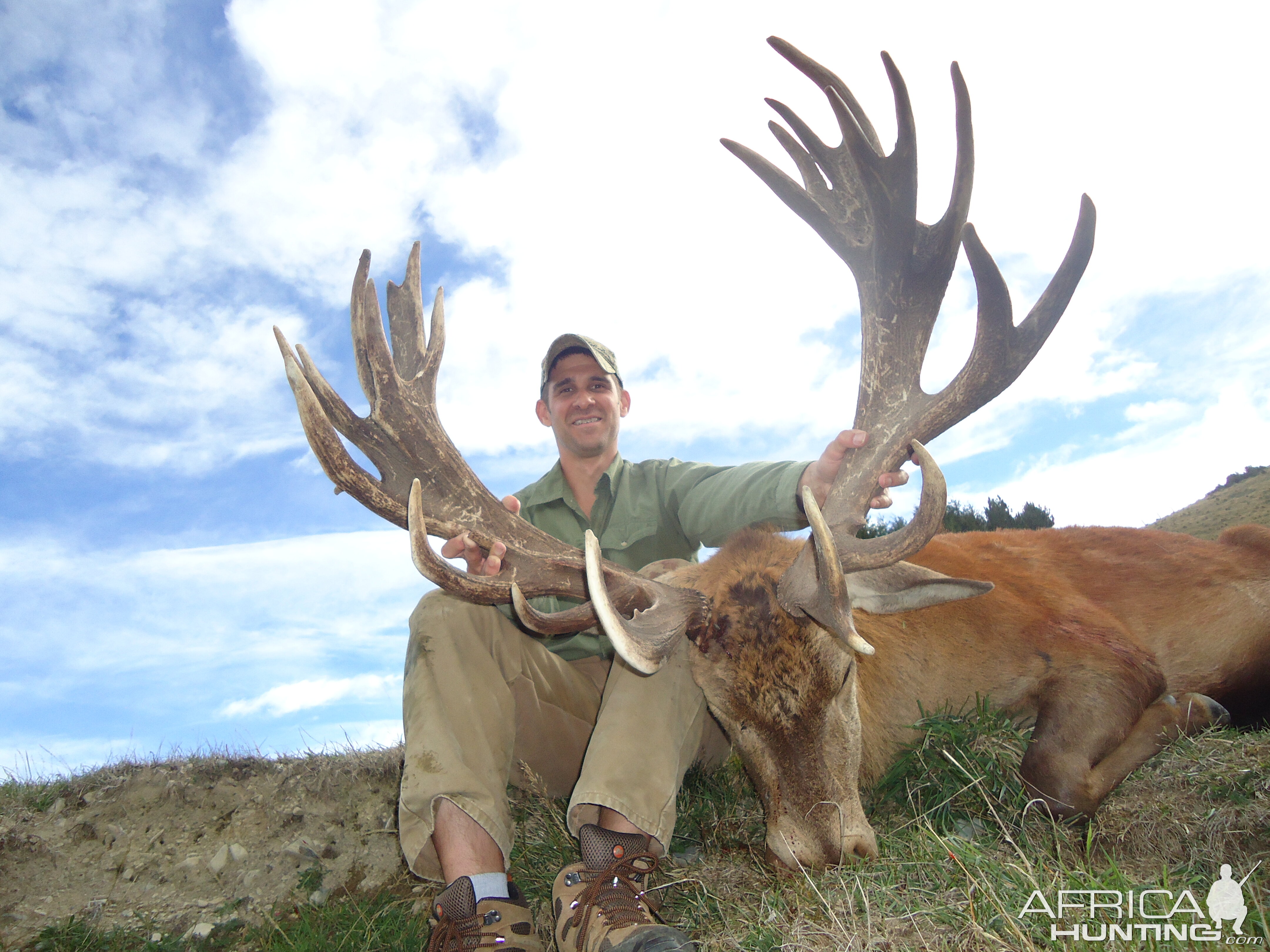 South Island New Zealand Hunt Red Stag