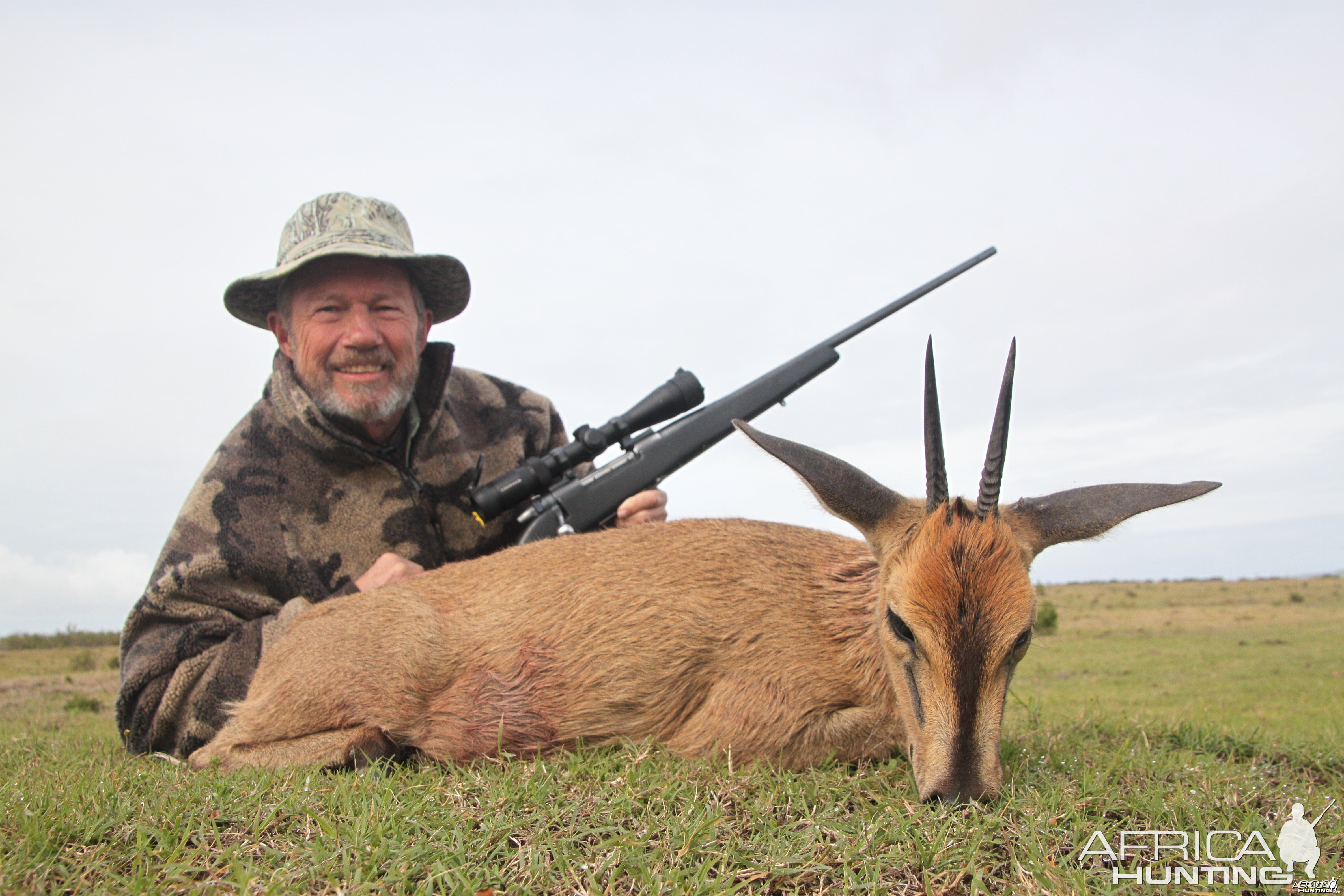 Southern Bush Duiker