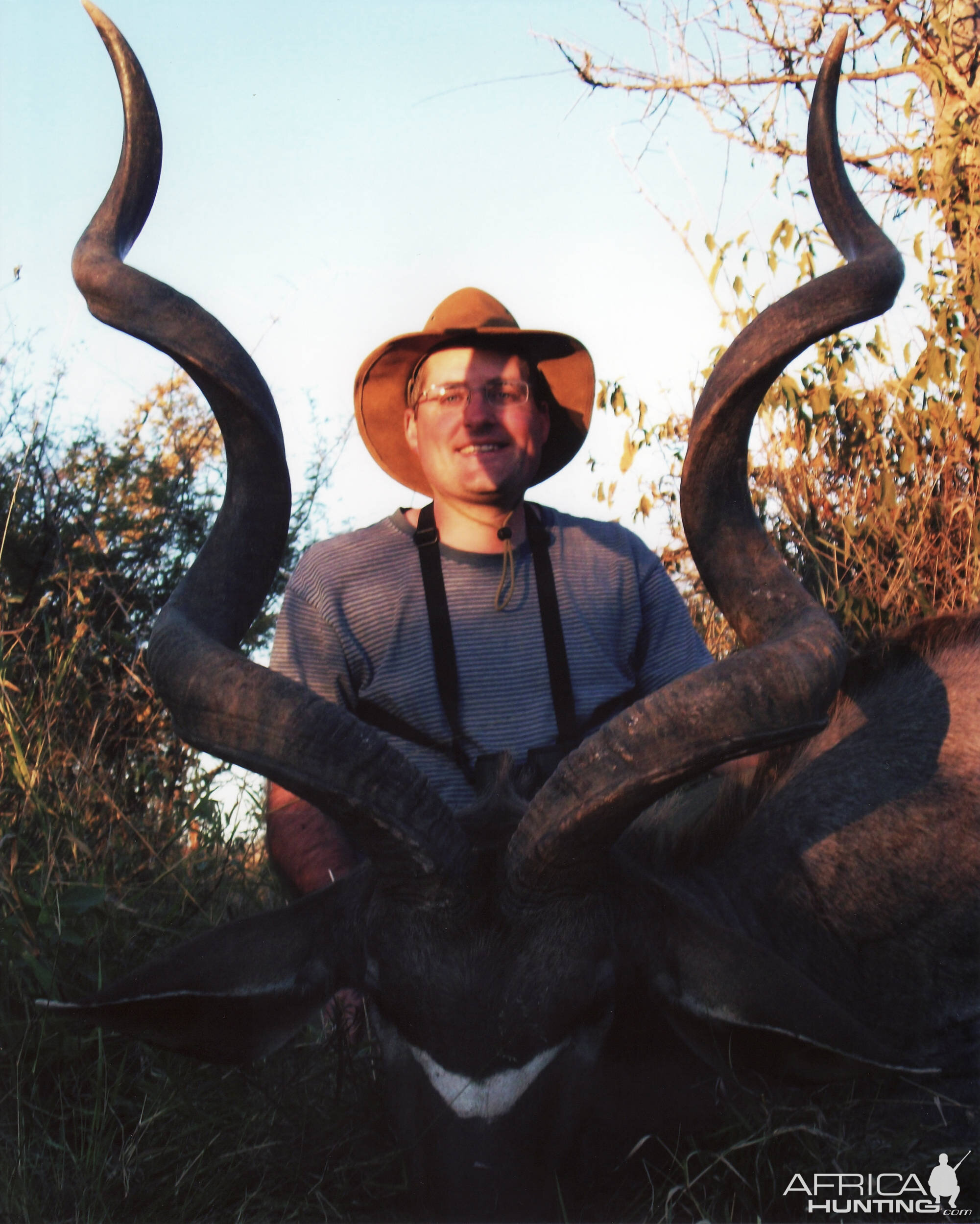 Southern Greater Kudu - Mhimbi Safari