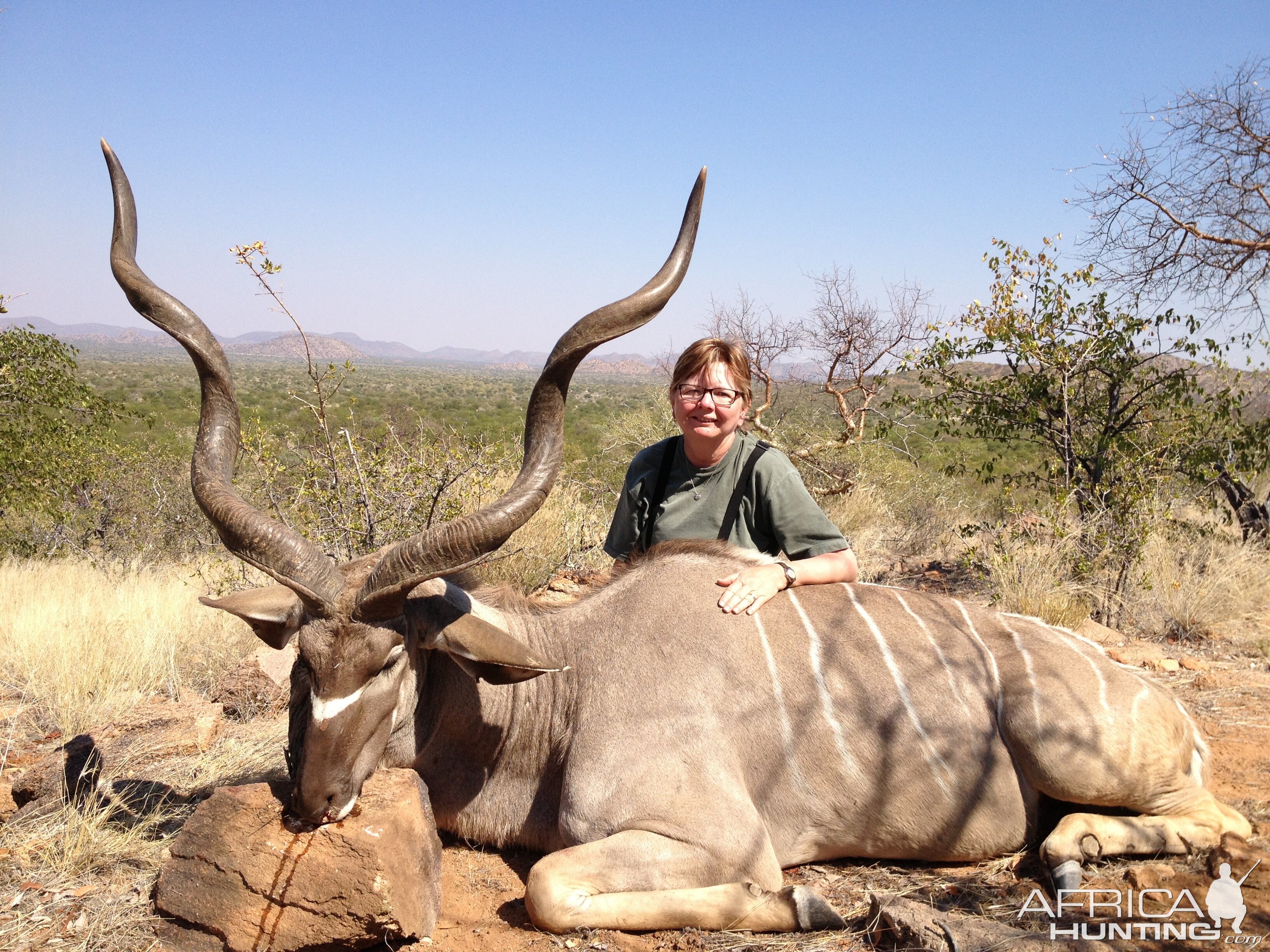 Southern Greater Kudu (Namibia)