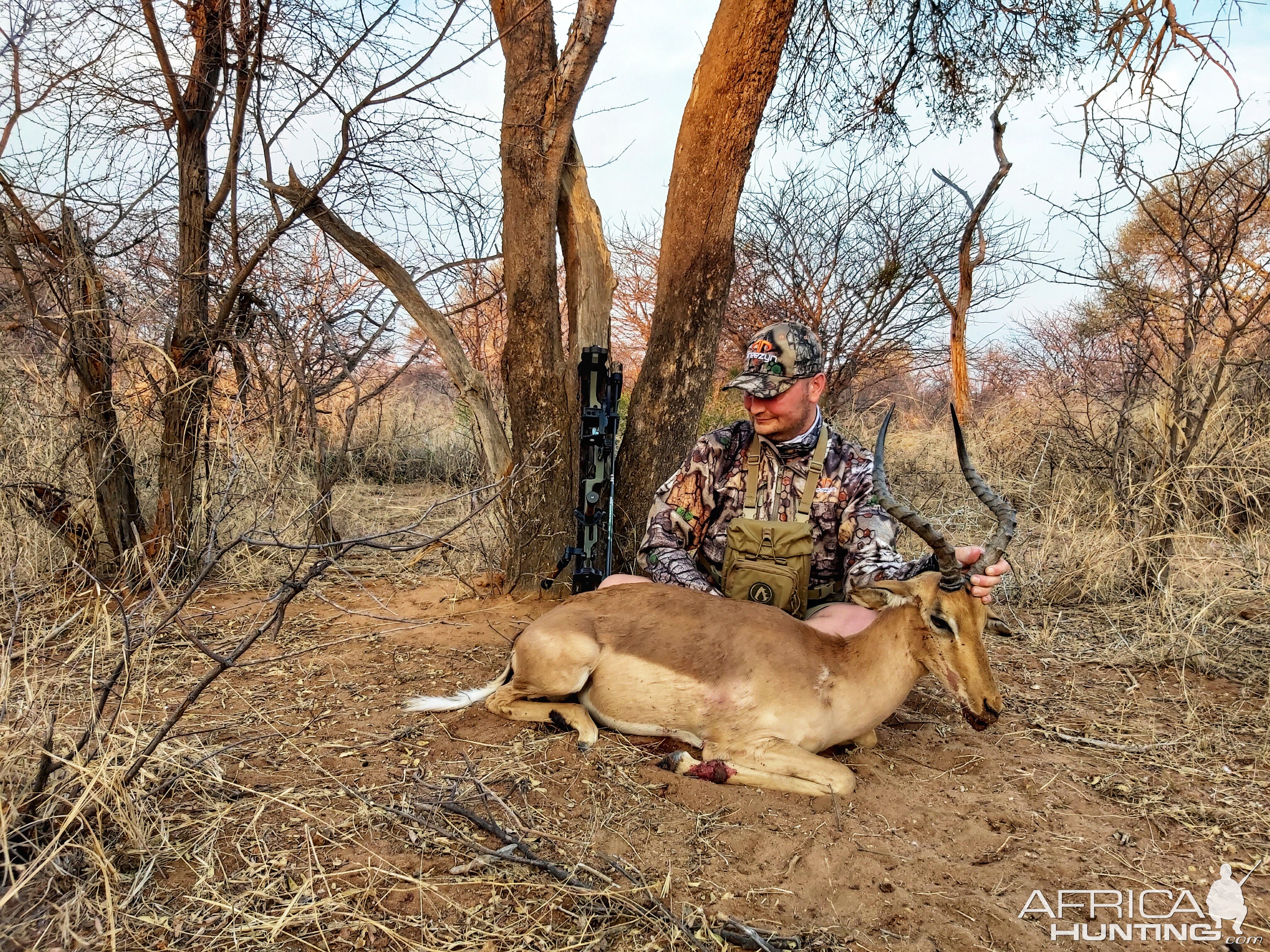 Southern Impala “Aepyceros Melampus” Bowhunting South Africa
