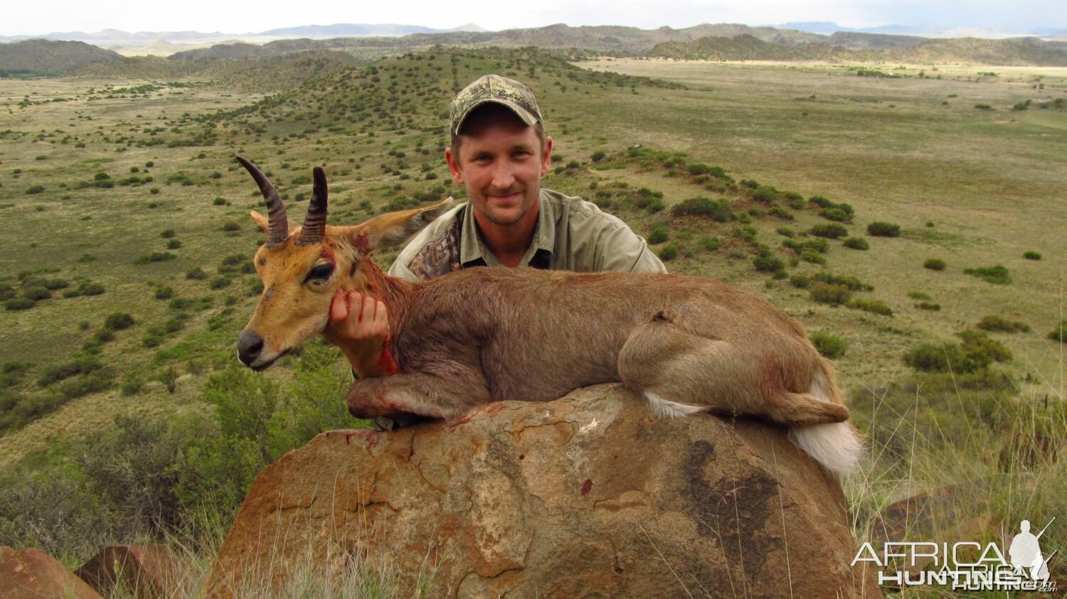 Southern Mountain Reedbuck