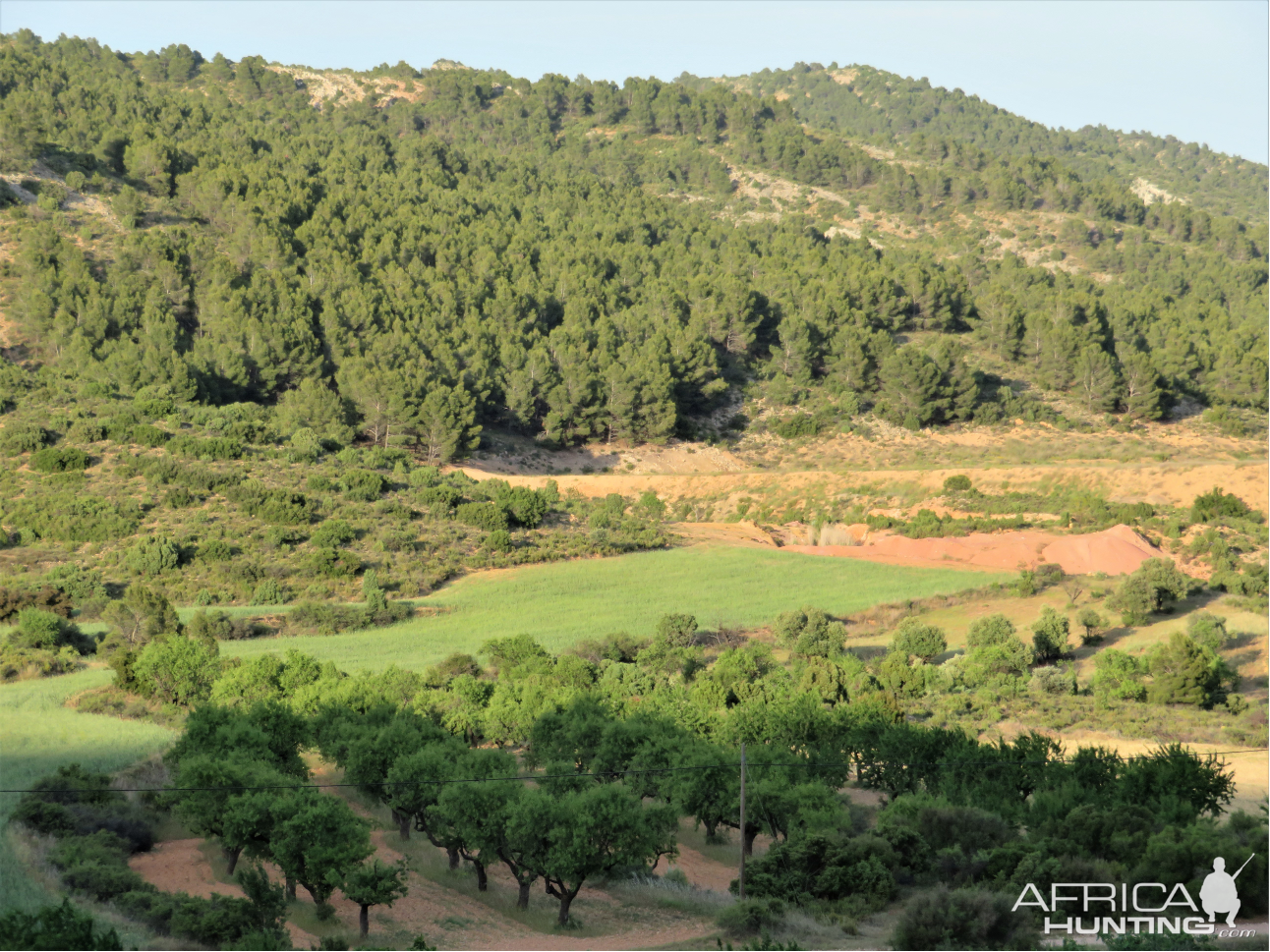 Spain Nature