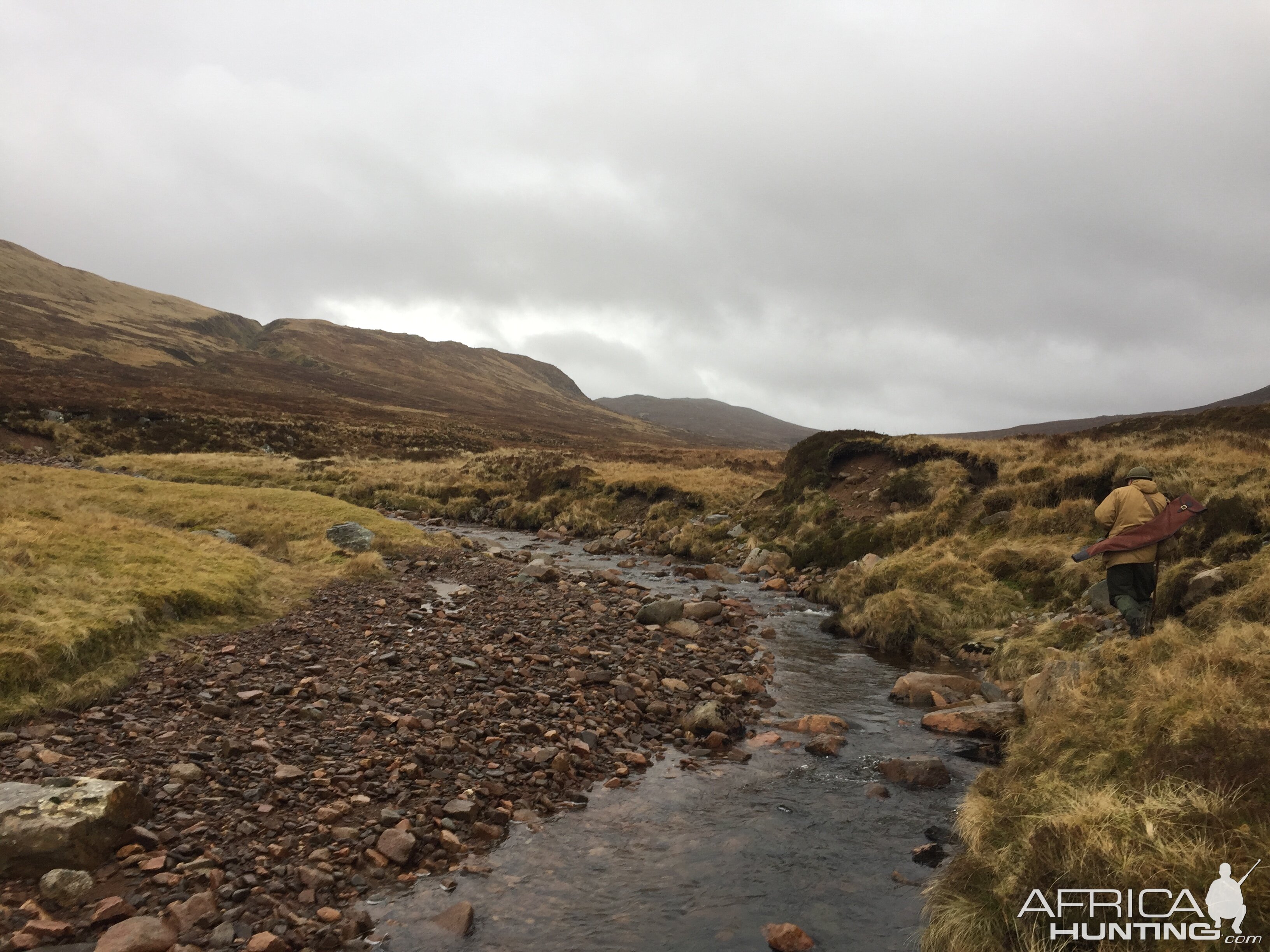 Spean Bridge Scotland - Stalking hinds using riverbed for cover