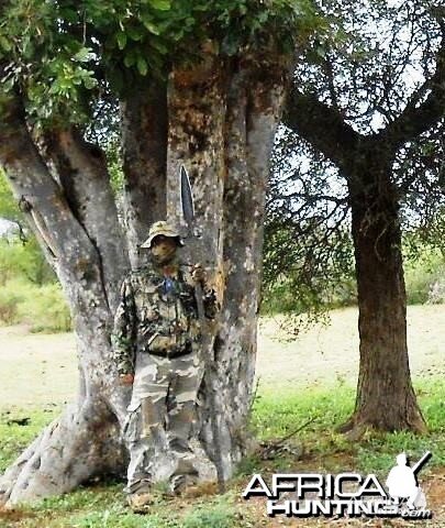 spear hunting