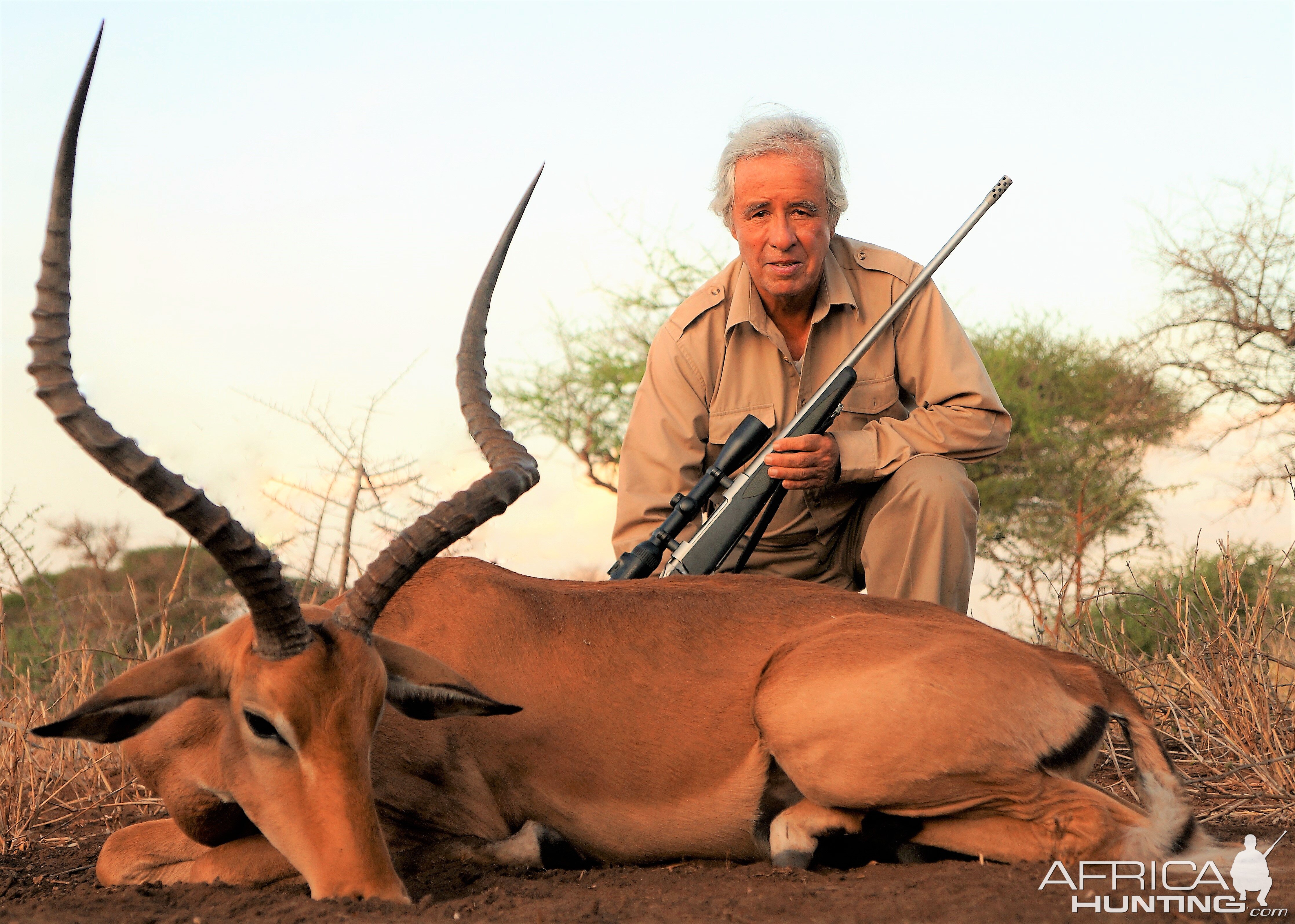 Spectacular East African Impala