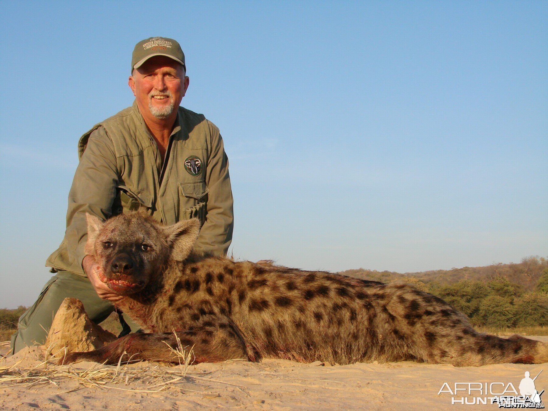 Spotted Hyena Charisa, Zimbabwe 2007