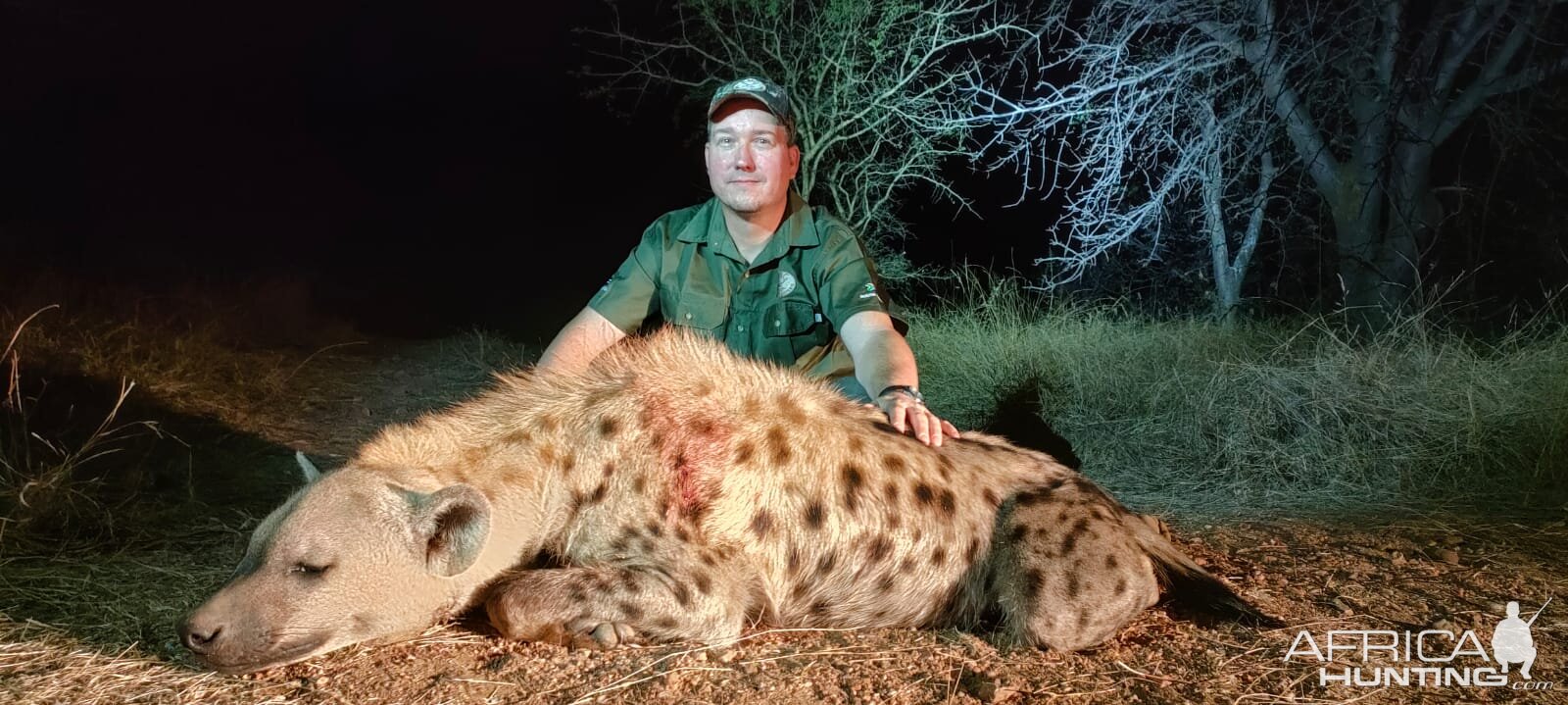 Spotted Hyena Hunt South Africa