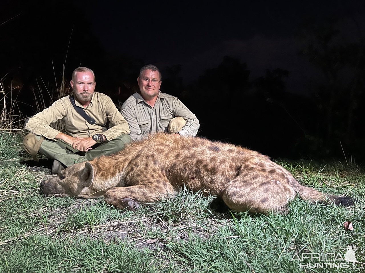 Spotted Hyena Hunt Zambia