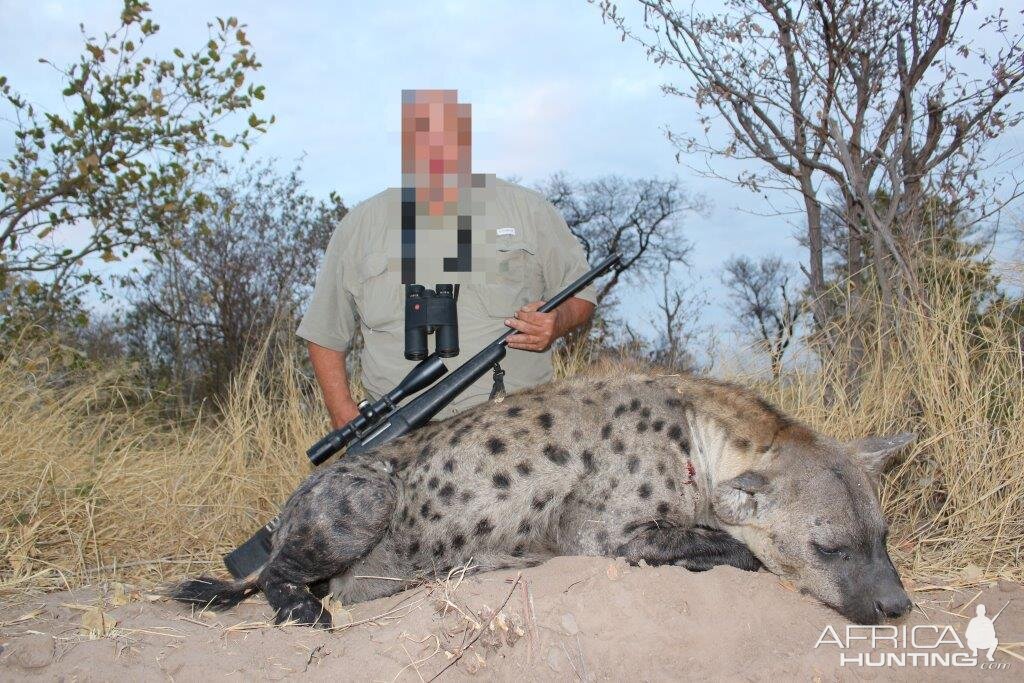 Spotted Hyena Hunt