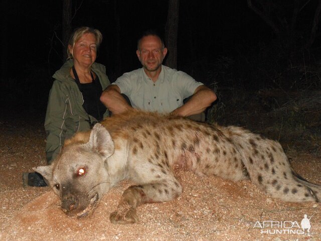 Spotted Hyena Hunt | AfricaHunting.com