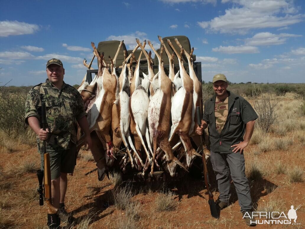 Springbok Cull Hunting South Africa