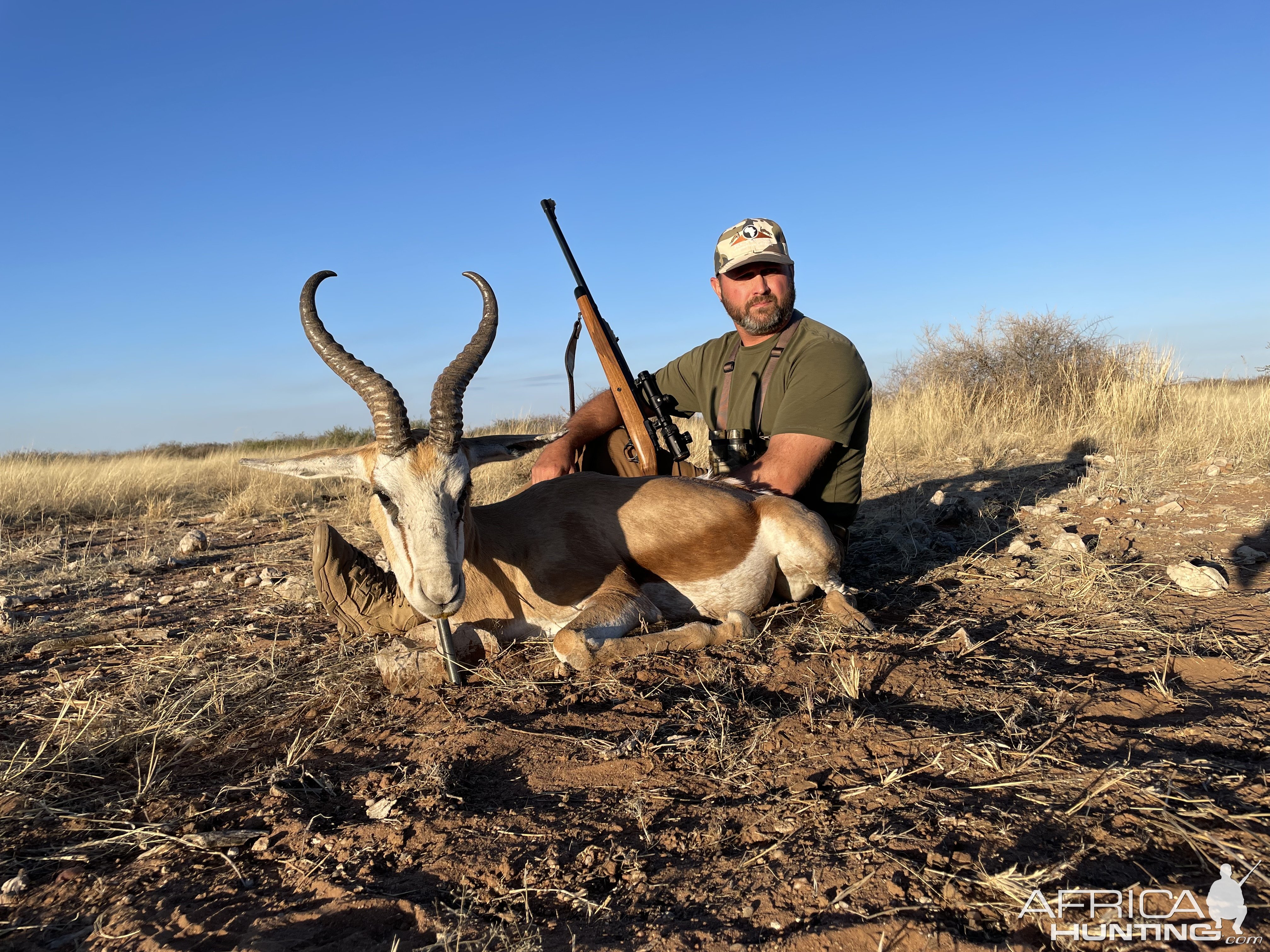 Springbok Hunt Namibia