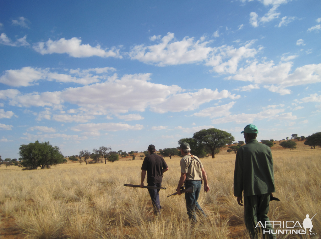 Springbok Hunt Namibia