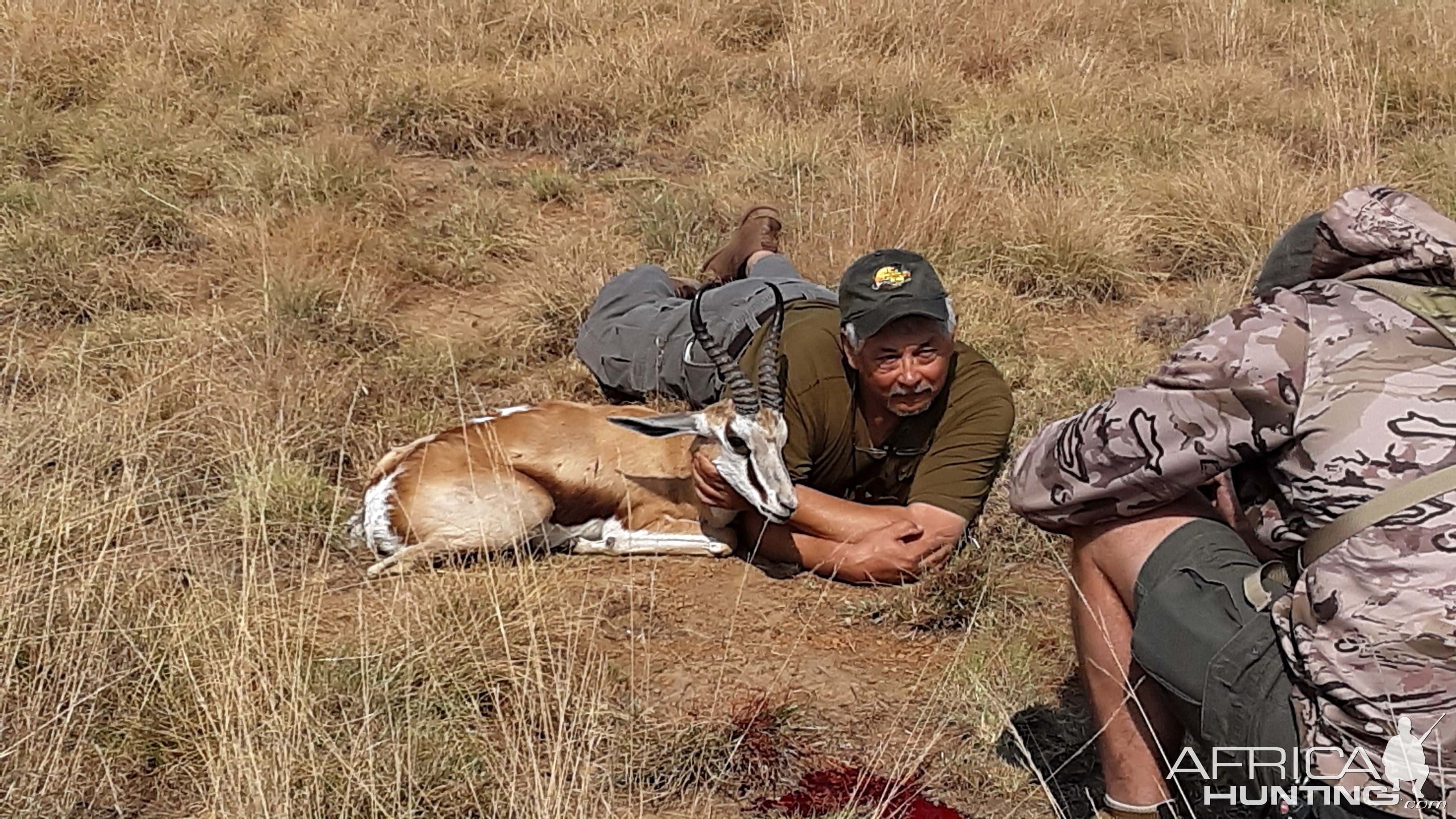 Springbok Hunt South Africa