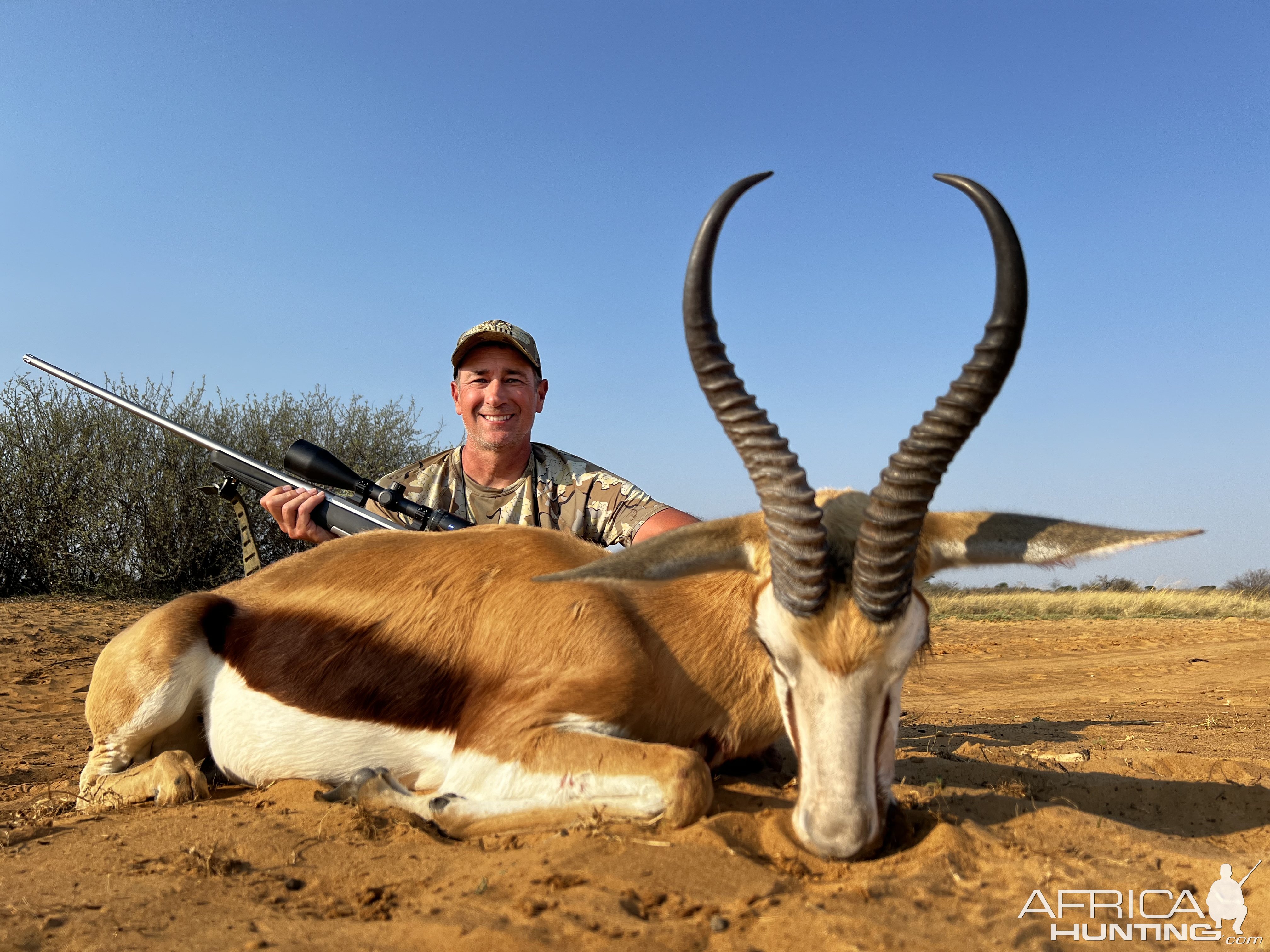 Springbok Hunt South Africa