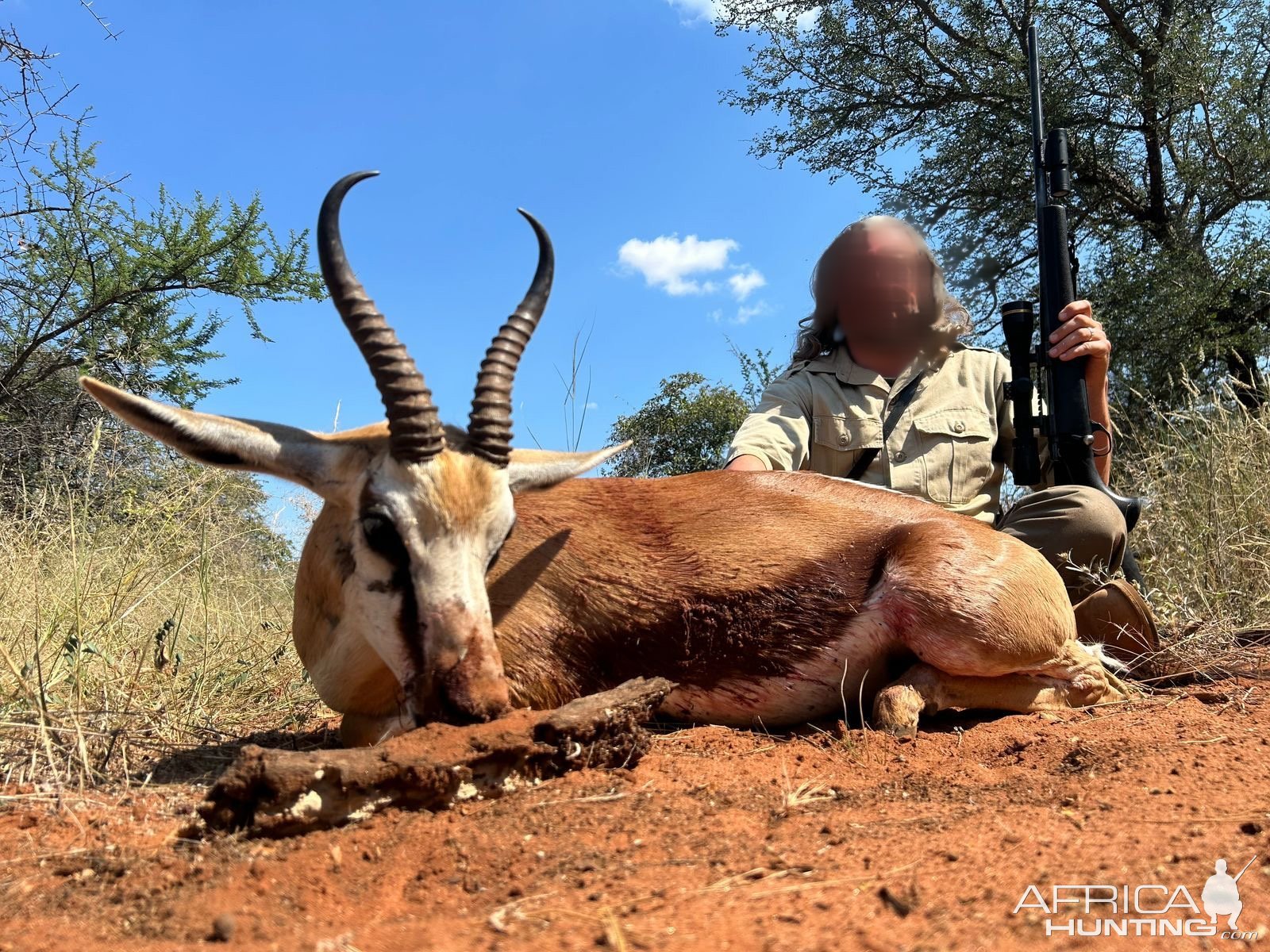 Springbok Hunt South Africa