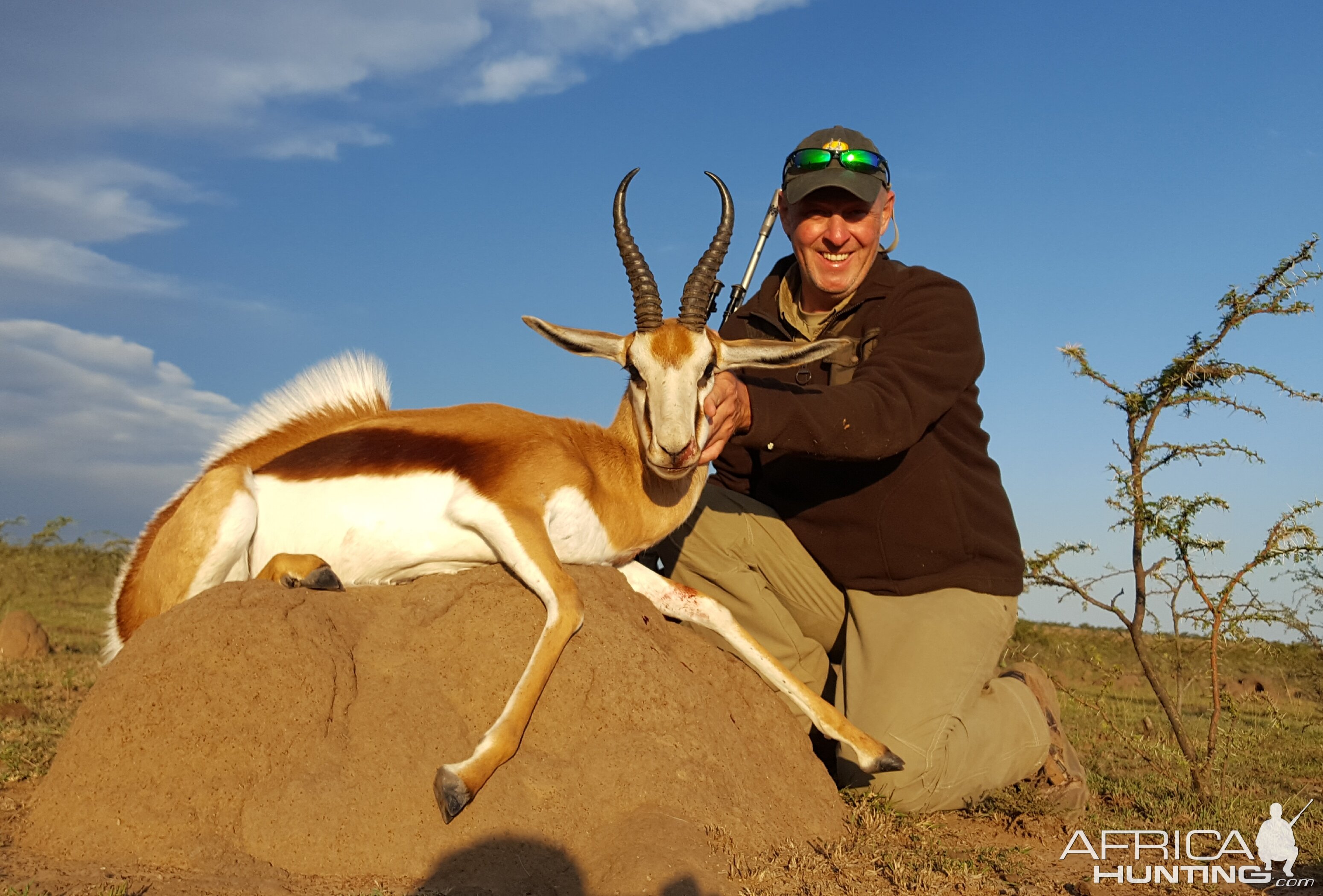 Springbok Hunt South Africa