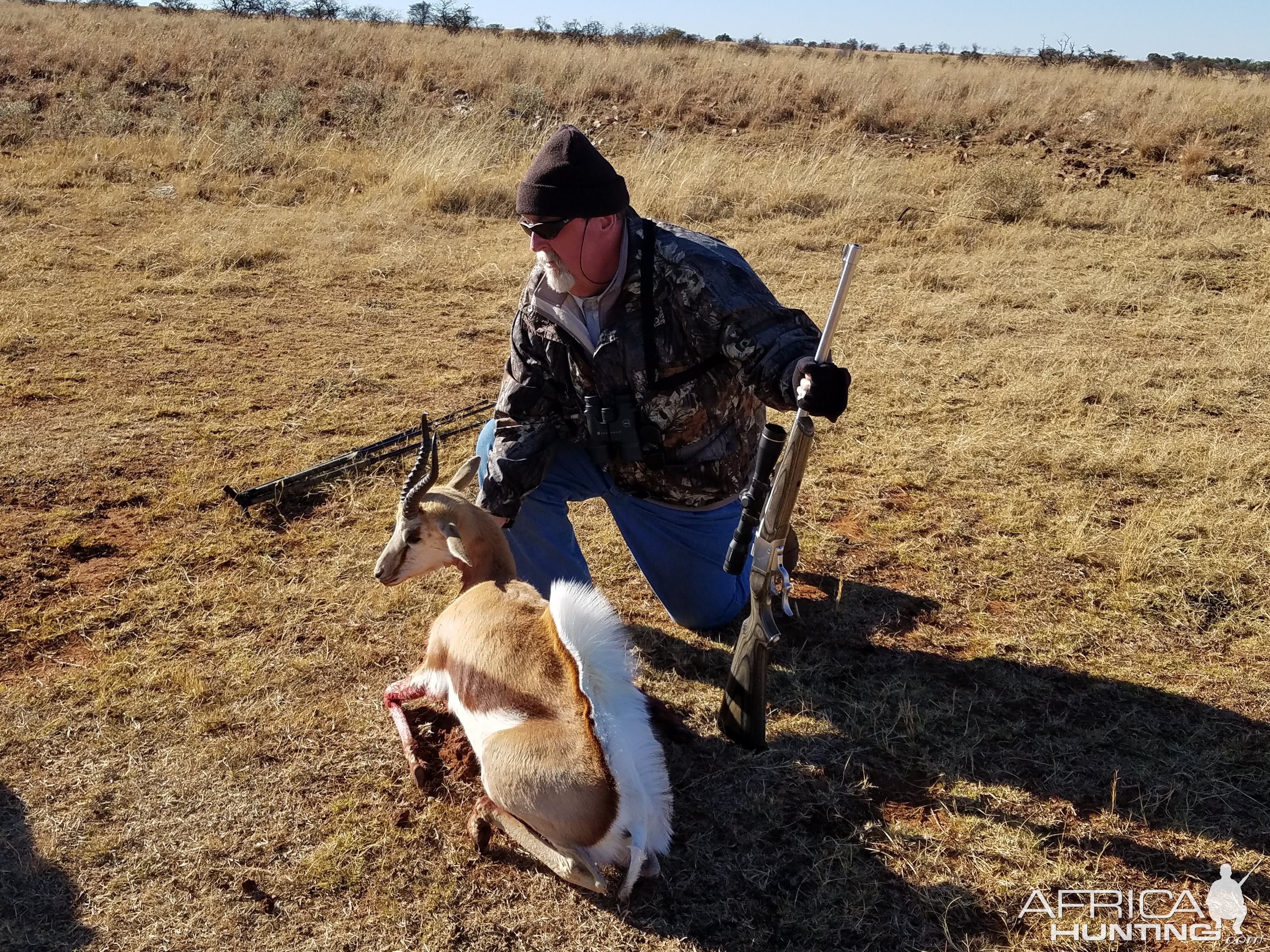 Springbok Hunt South Africa