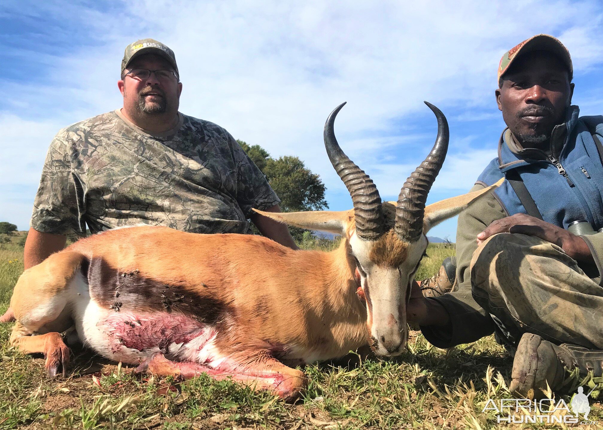 Springbok Hunt South Africa