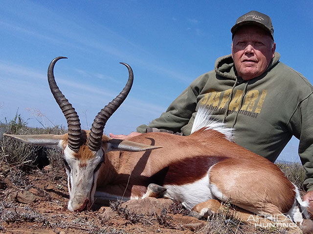 Springbok Hunt