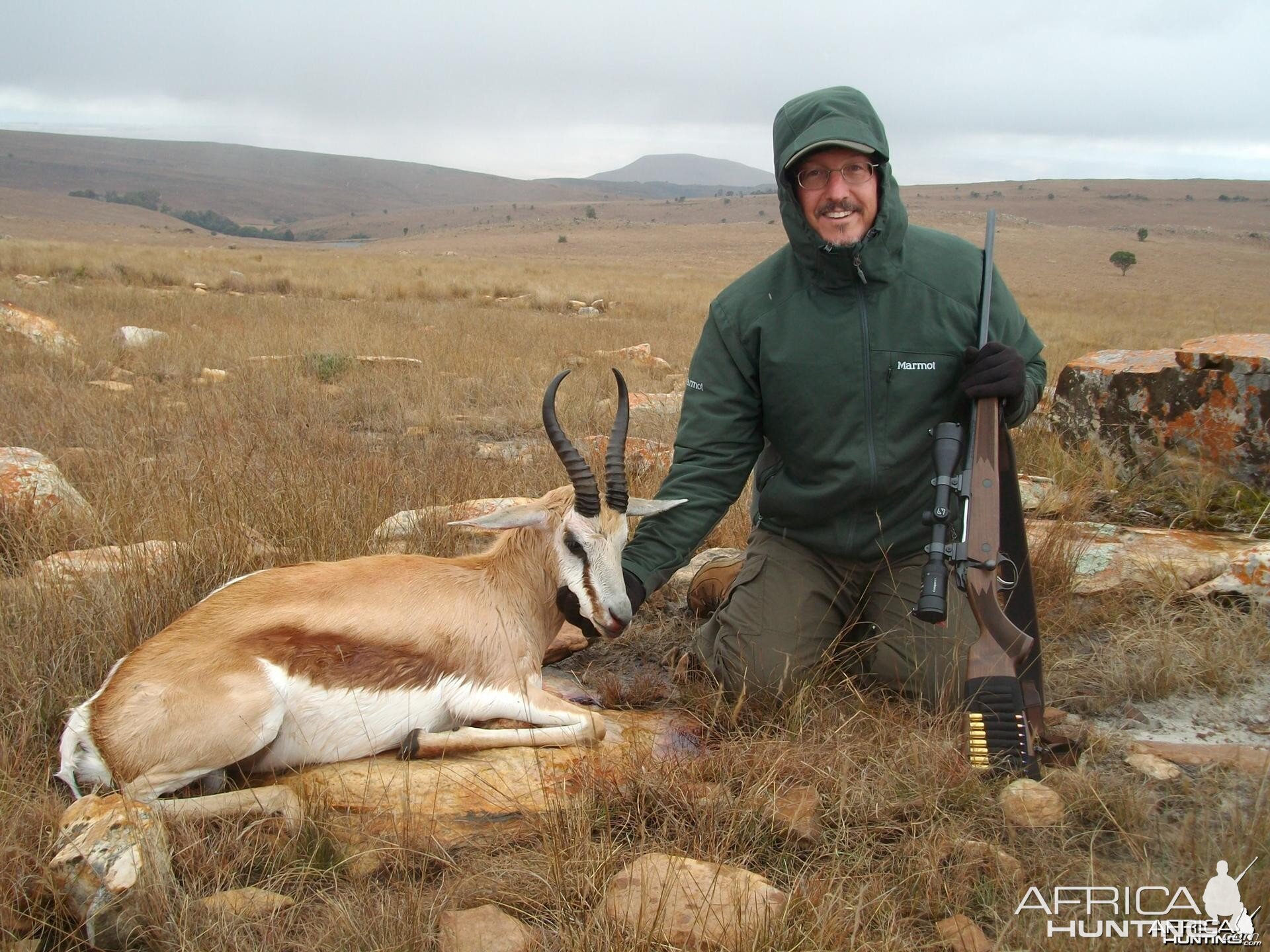 Springbok hunted in Limpopo SA