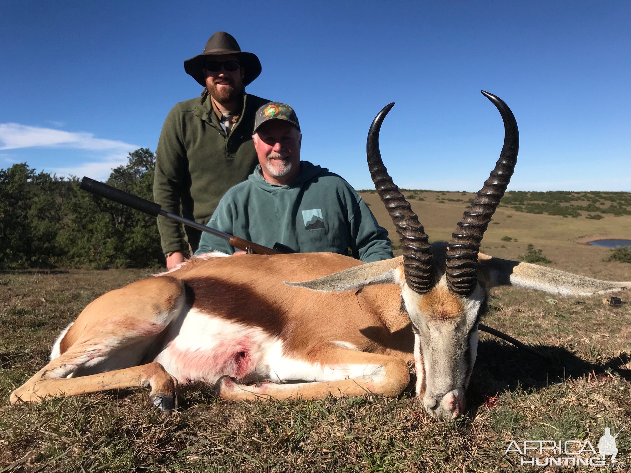 Springbok Hunting in South Africa