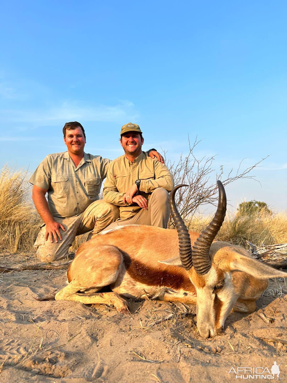 Springbok Hunting Kalahari South Africa