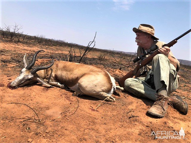 Springbok Hunting Namibia