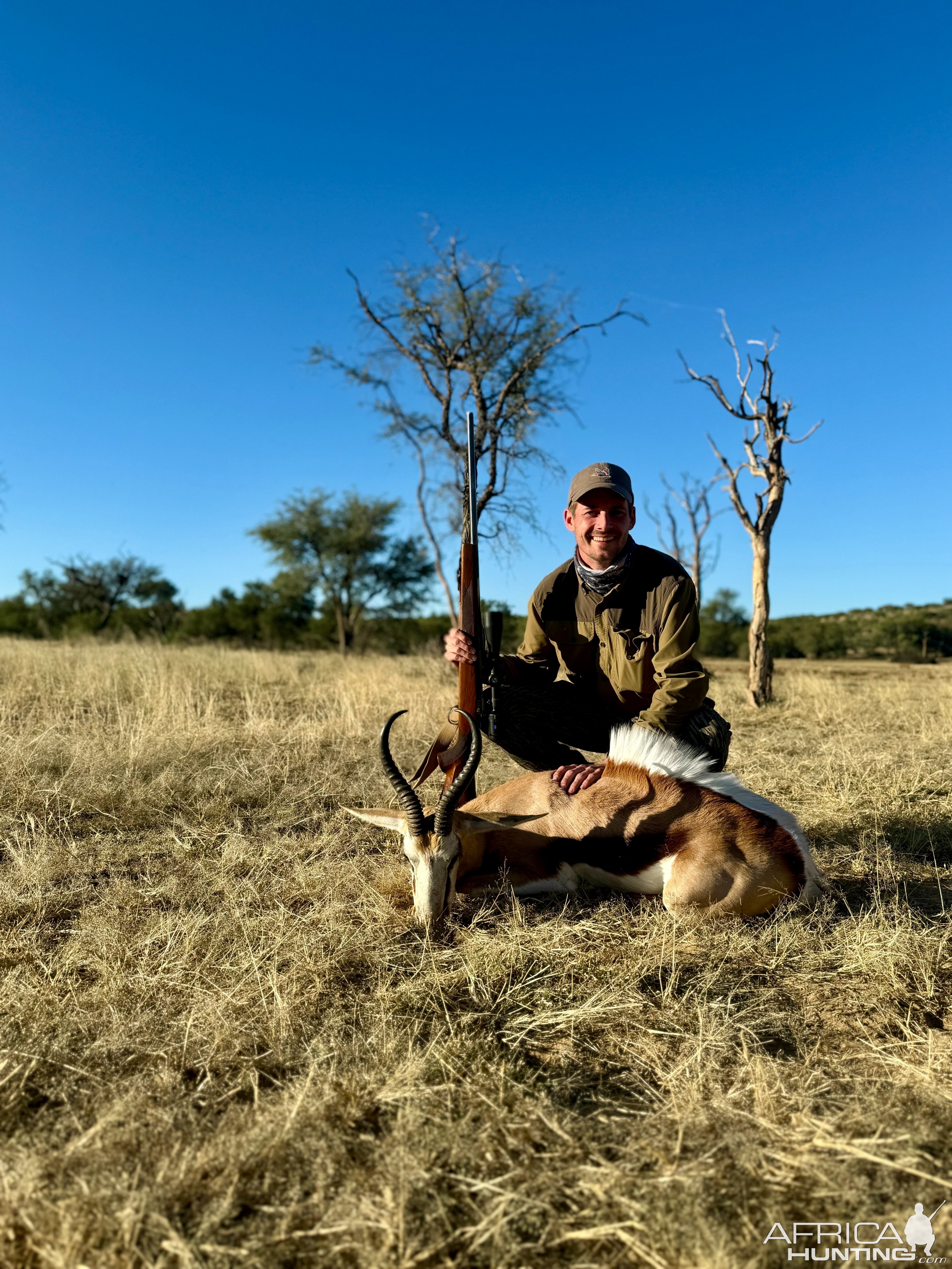 Springbok Hunting Namibia