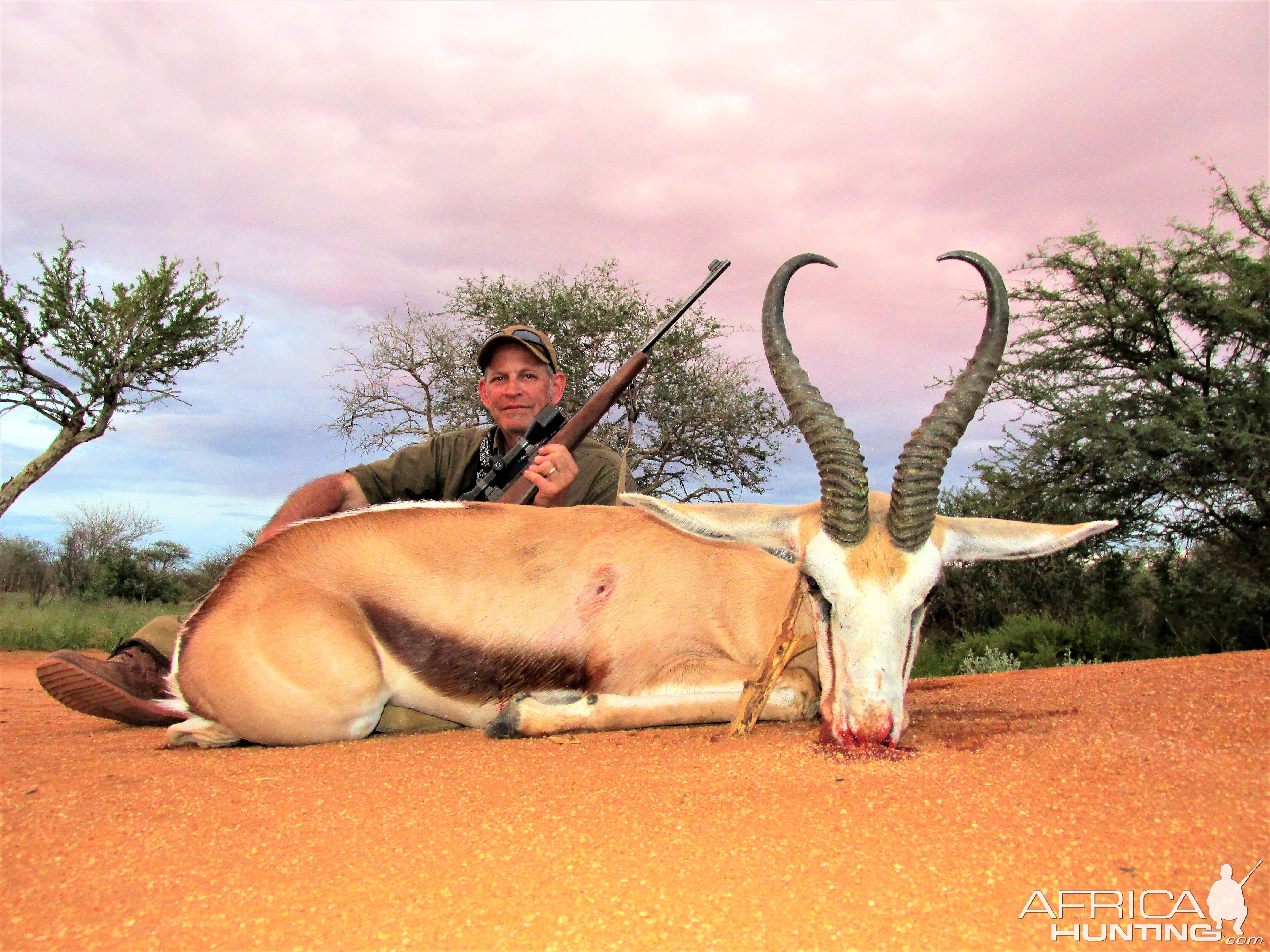 Springbok Hunting South Africa