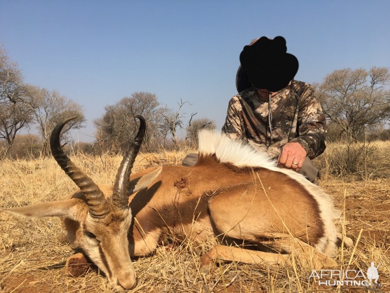 Springbok Hunting South Africa