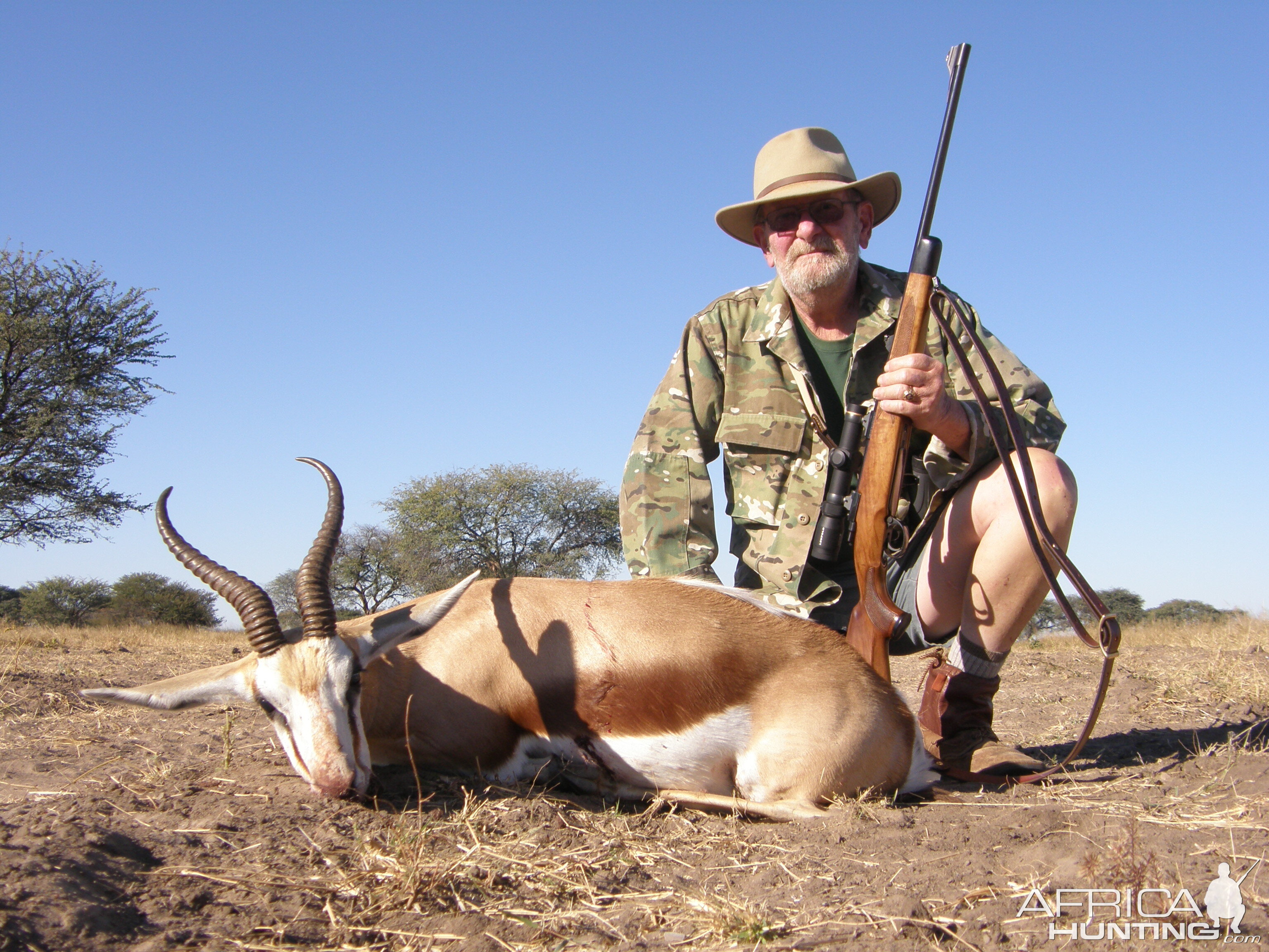 Springbok Ram Namibian Hunt