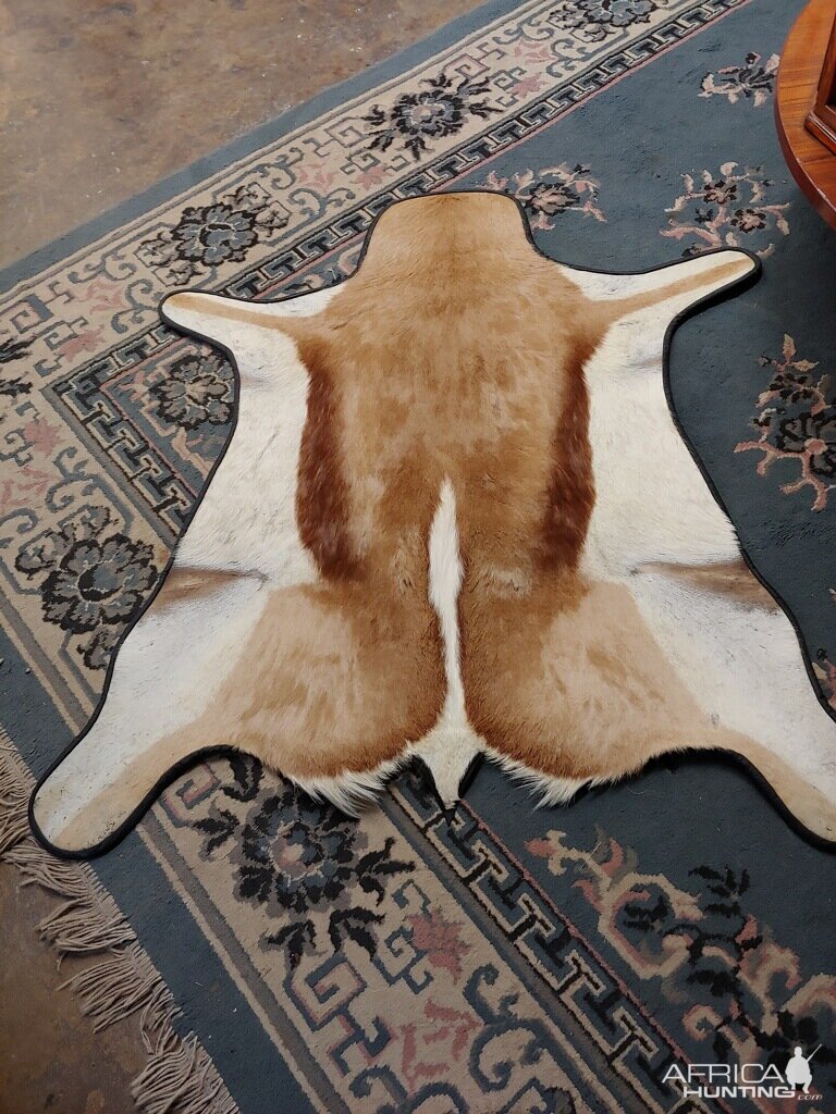 Springbok Rug