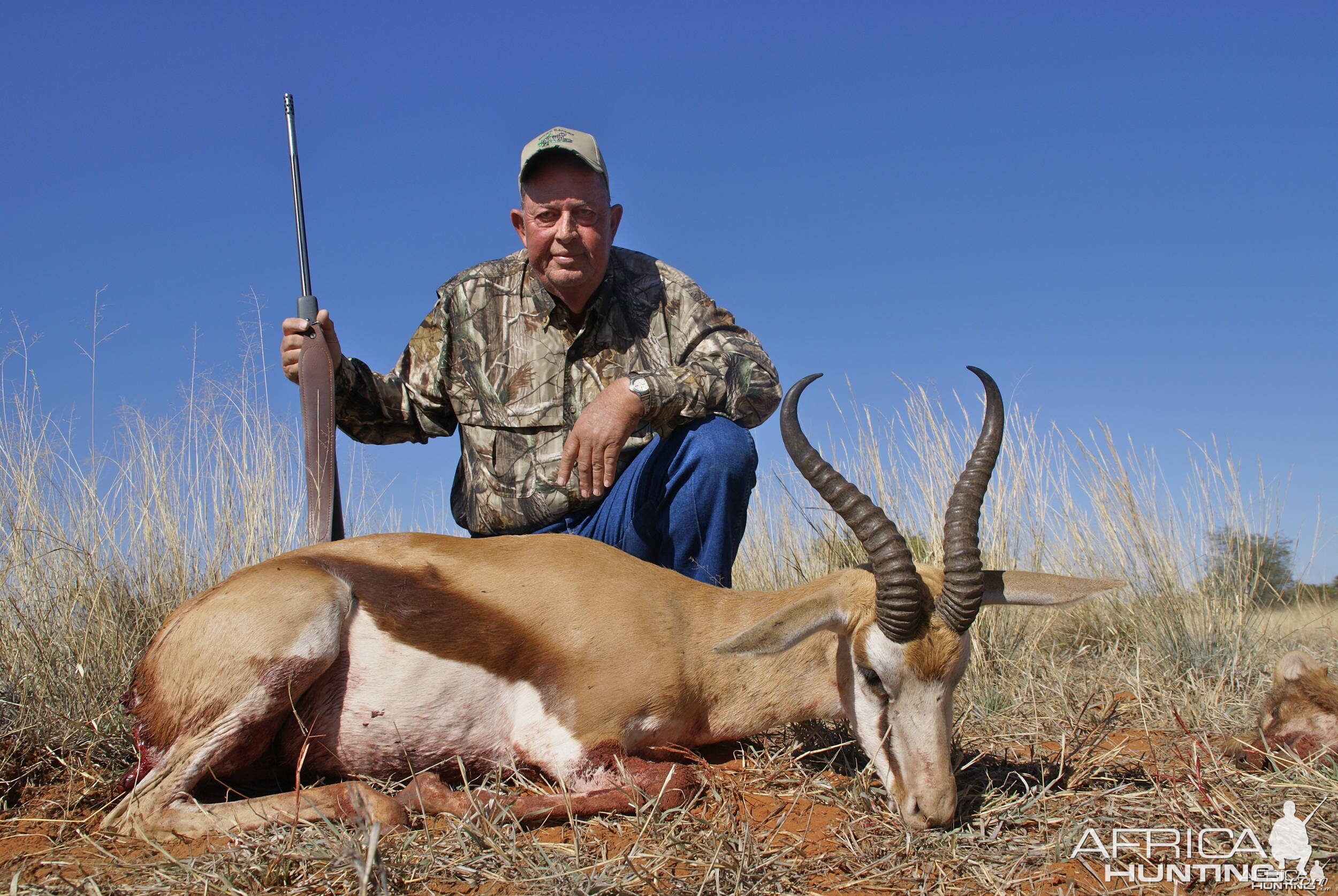 Springbok - South Africa