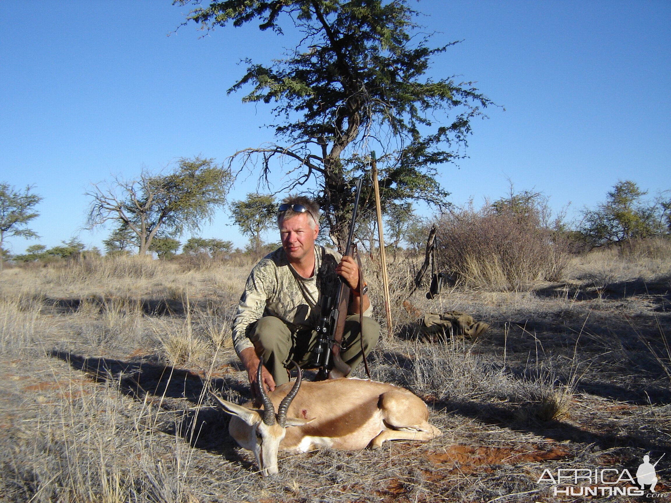 springbok