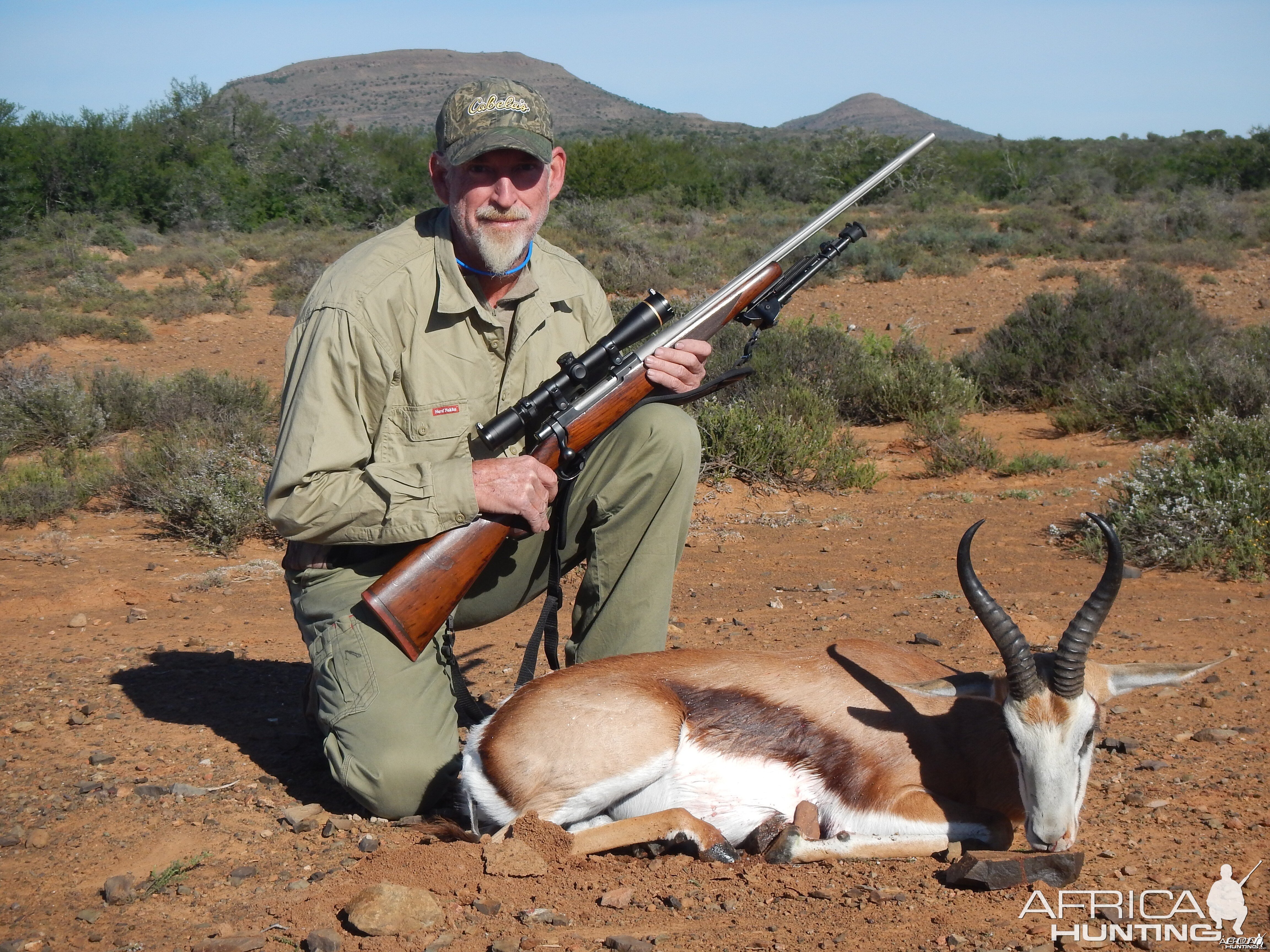 Springbok