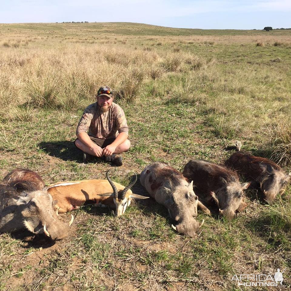 Springbuck & Warthog South Africa Hunt