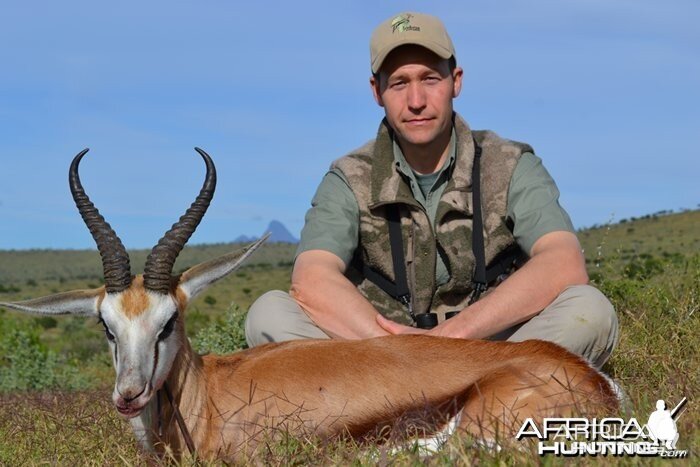 Springbuck