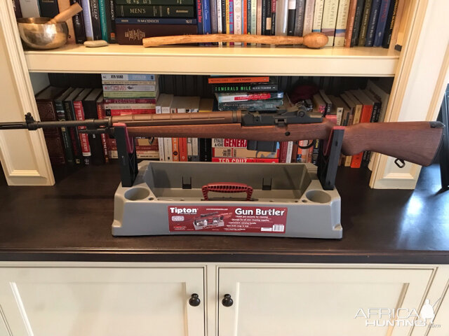 Springfield M1A Standard Rifle With Walnut Stock