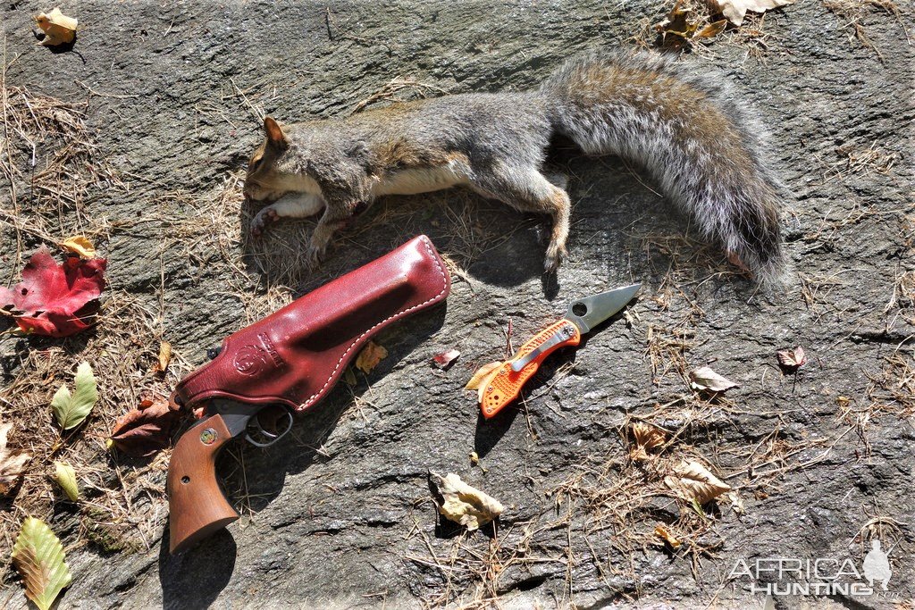 Squirrel Handgun Hunt