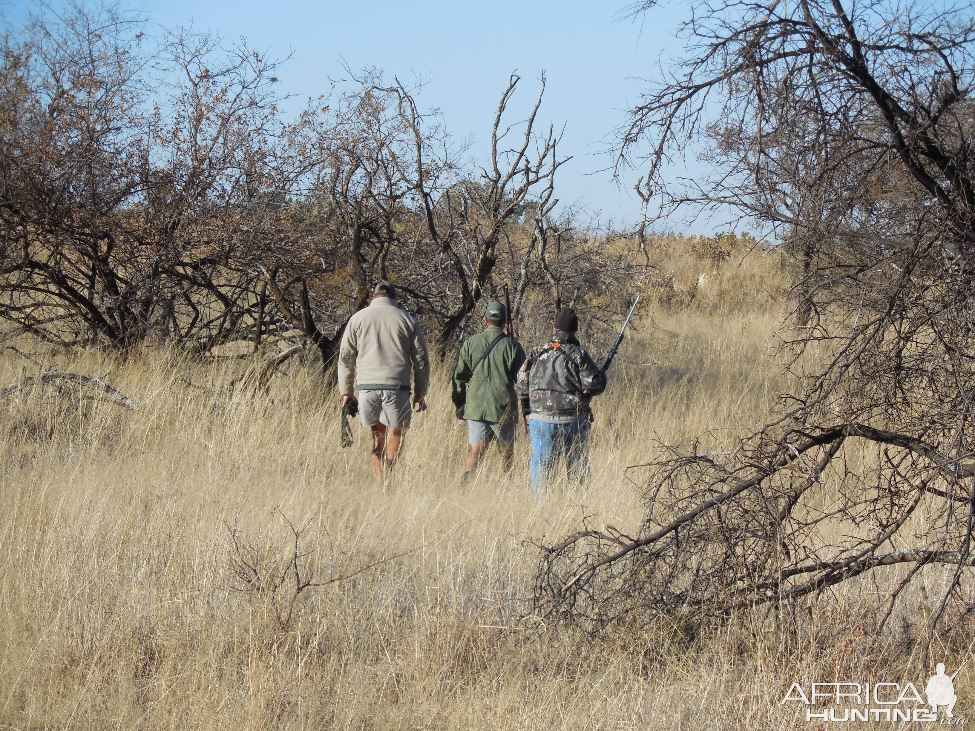 Stalking & Hunting South Africa